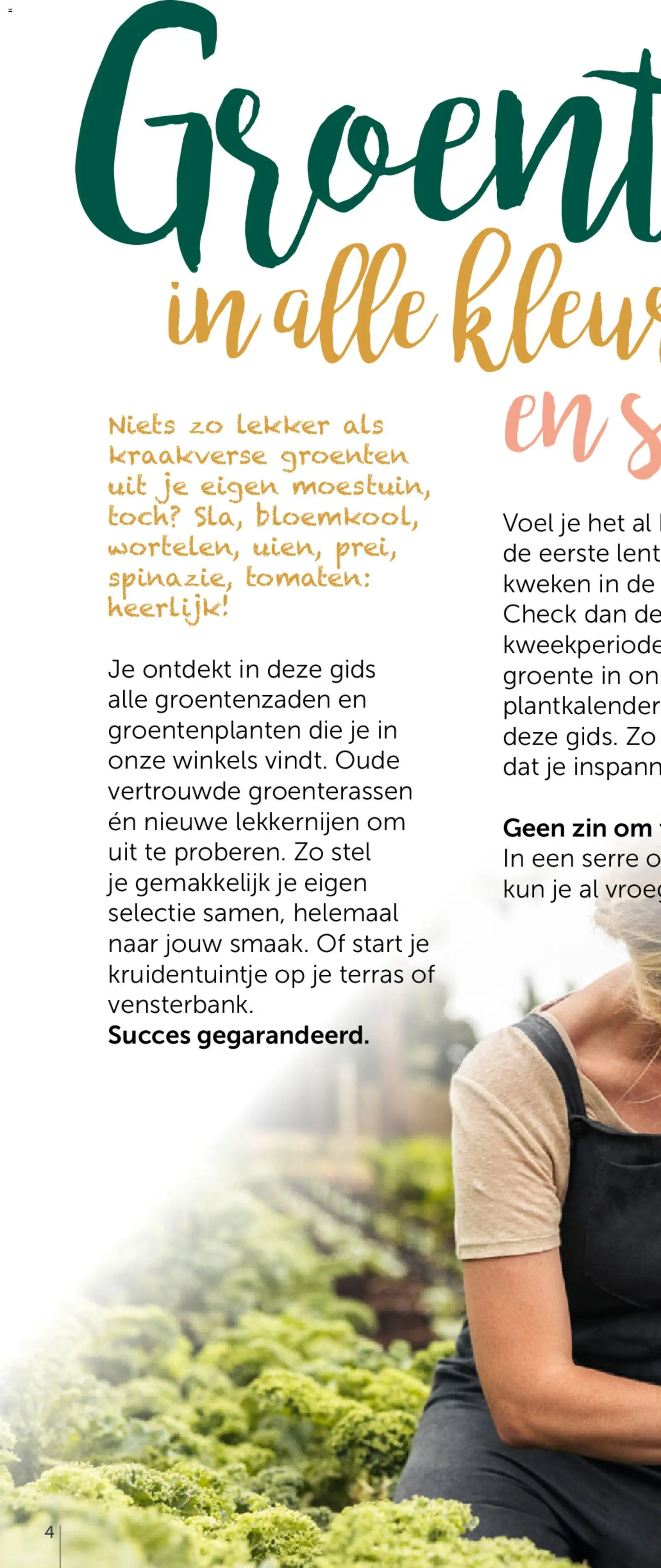 {H1} | Pagina: 6 | Producten: Tomaten, Groenten