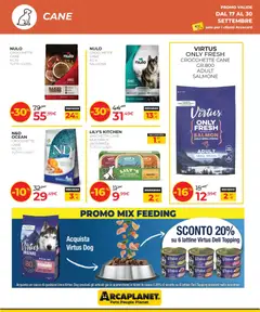 Anteprima del volantino Arcaplanet volantino valido a partire dal 17/09/2026 | Pagina: 12 | Prodotti: Salmone, Crocchette, Crocchette cane, Topping