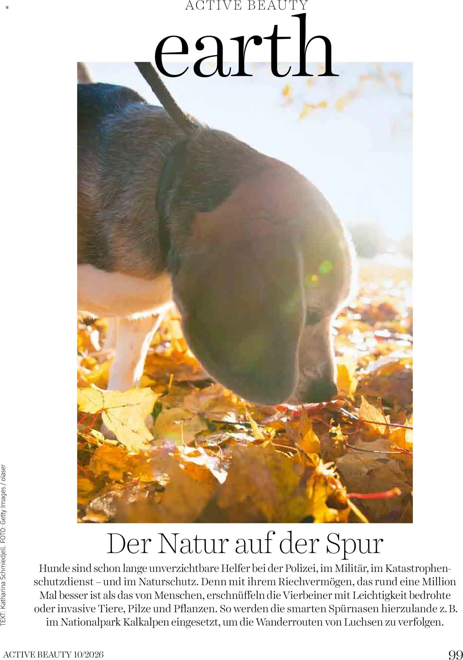 dm drogerie markt Magazin October 2026 gültig ab 01.10.2026 | Seite: 99