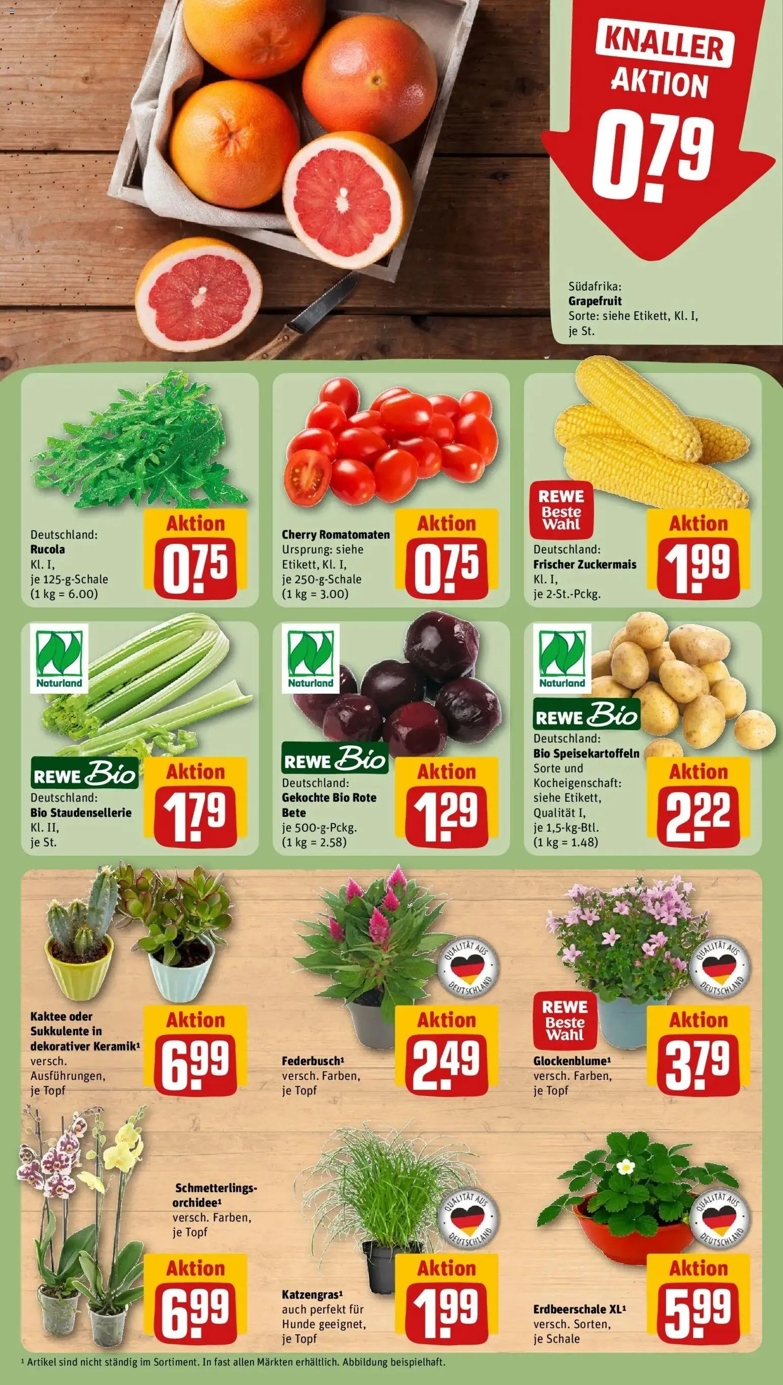 Rewe Prospekt Kiel – gültig ab 27.07.2026 | Seite: 7 | Produkte: Orchidee, Rucola, Grapefruit