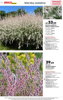 Pogląd oferty "Brico Marché gazetka - Wiosna" - ważna od 04.03.2026 | Strona: 78 | Produkty: Doniczki
