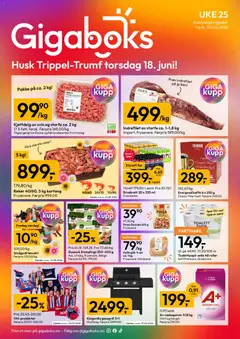 Forhåndsvisning av Gigaboks kundeavis gyldig fra 15.06.2026