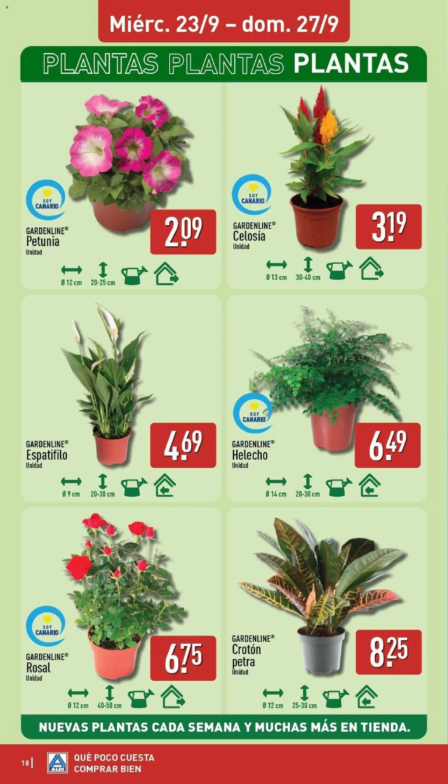 Aldi folleto Canarias │ válido desde el 21/09/2026 | Página: 18