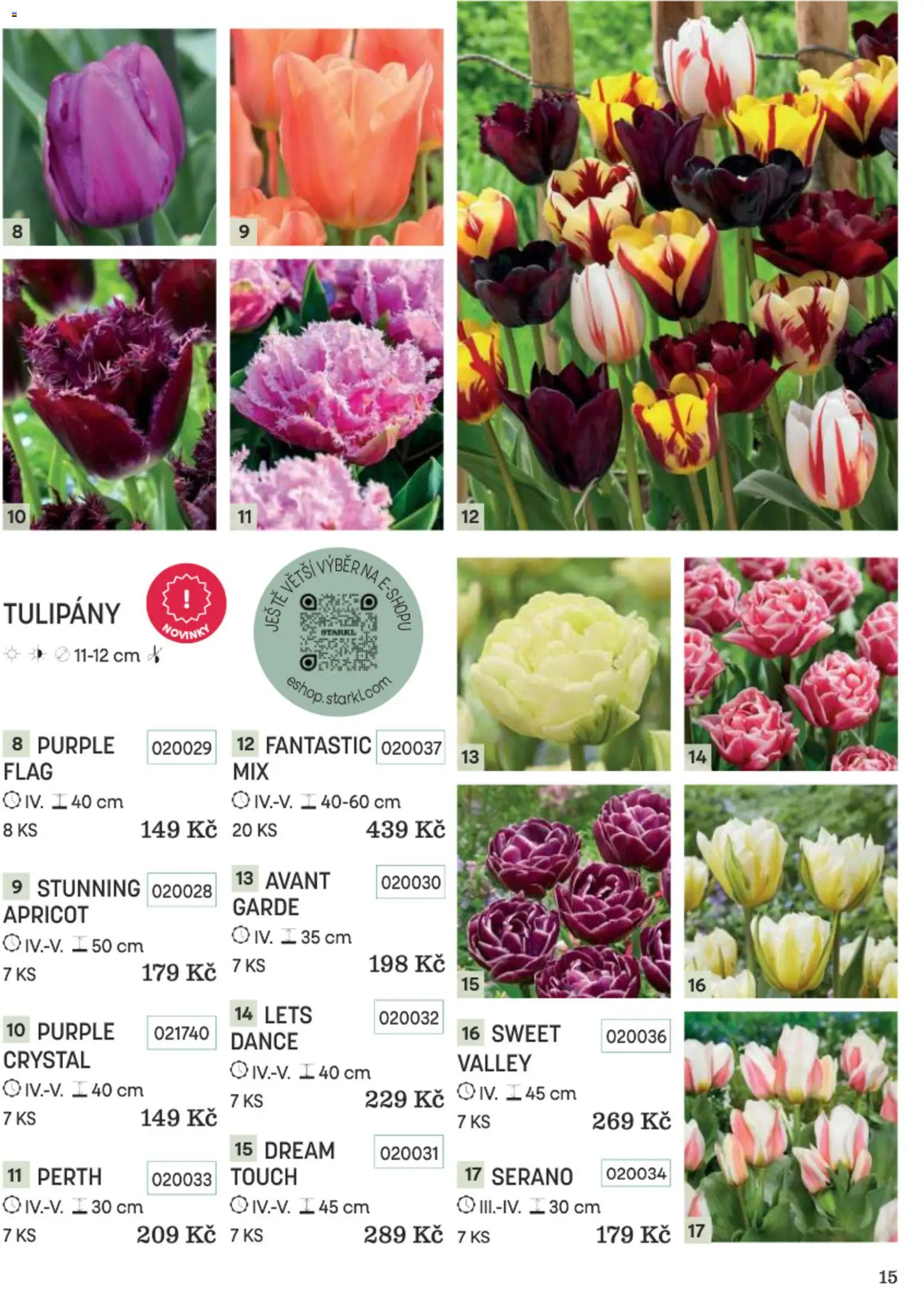 Starkl katalog Podzim 2026 od 01.09.2026 | Strana: 15 | Produkty: Tulipány