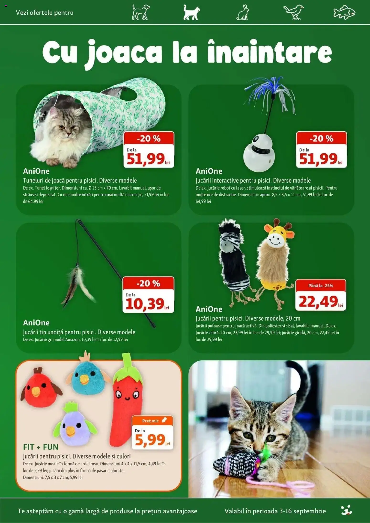 Fressnapf Catalog - Oferta 03.09.2026 - 16.09.2026 | Pagină: 12 | Produse: Robot, Ardei, Tip, Plus