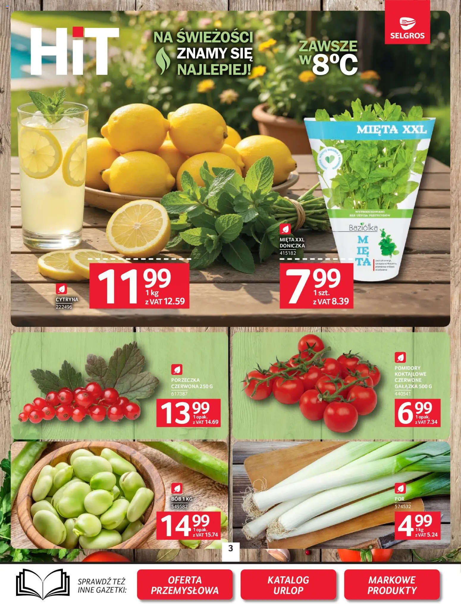 Selgros cash&carry gazetka od 02.07.2026 | Strona: 3 | Produkty: Cytryna, Mięta, Porzeczka, Doniczka