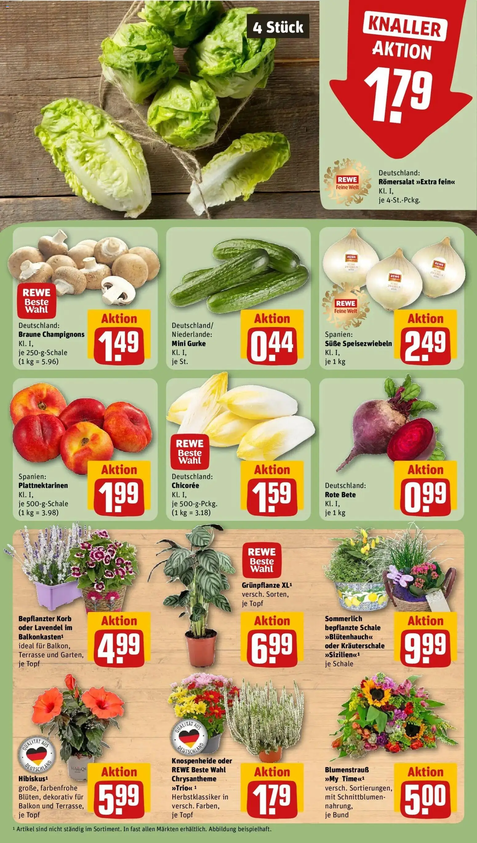 REWE Prospekt ab 17.08.2026 zum Blättern » Angebote | Seite: 9 | Produkte: Korb, Champignons, Zwiebeln, Lavendel