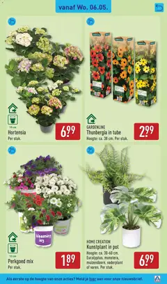 Aldi folder week 19 - Voorbeeld van een folder van Aldi, geldig van 04.05.2026 | Pagina: 41 | Producten: Pot