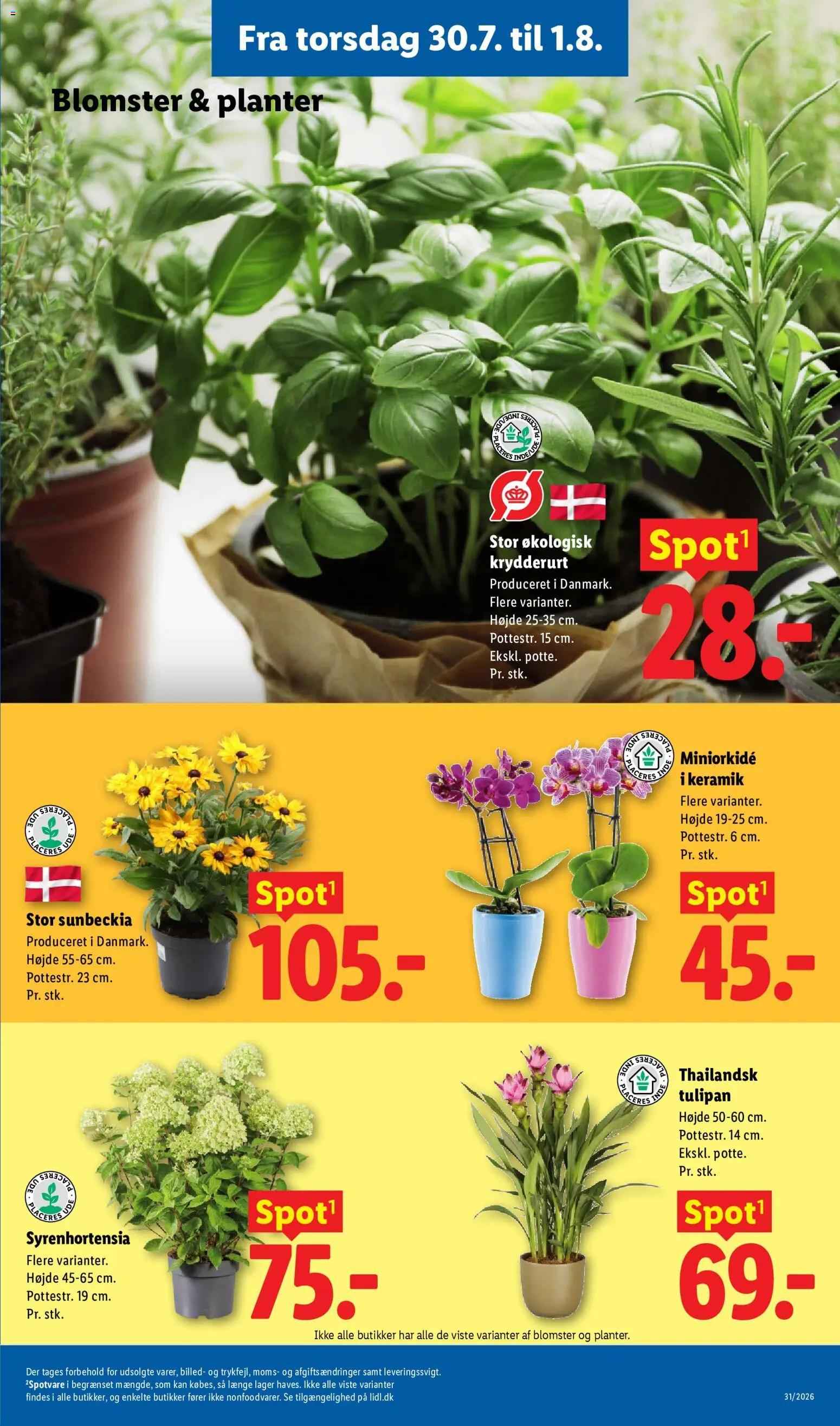 Lidl tilbudsavis – gyldig fra 26/07/2026 | Side: 36 | Produkter: Søm