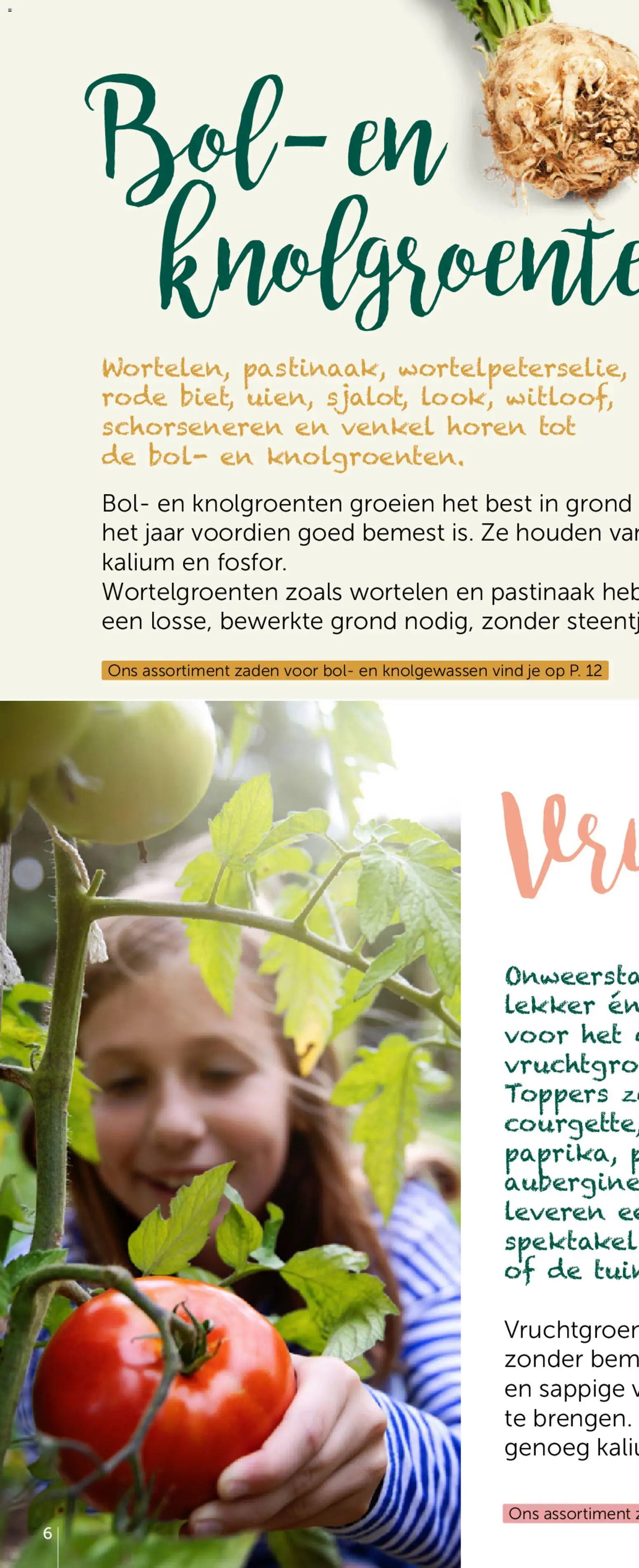 {H1} | Pagina: 10 | Producten: Bol, Antipasti, Wortelen, Courgette