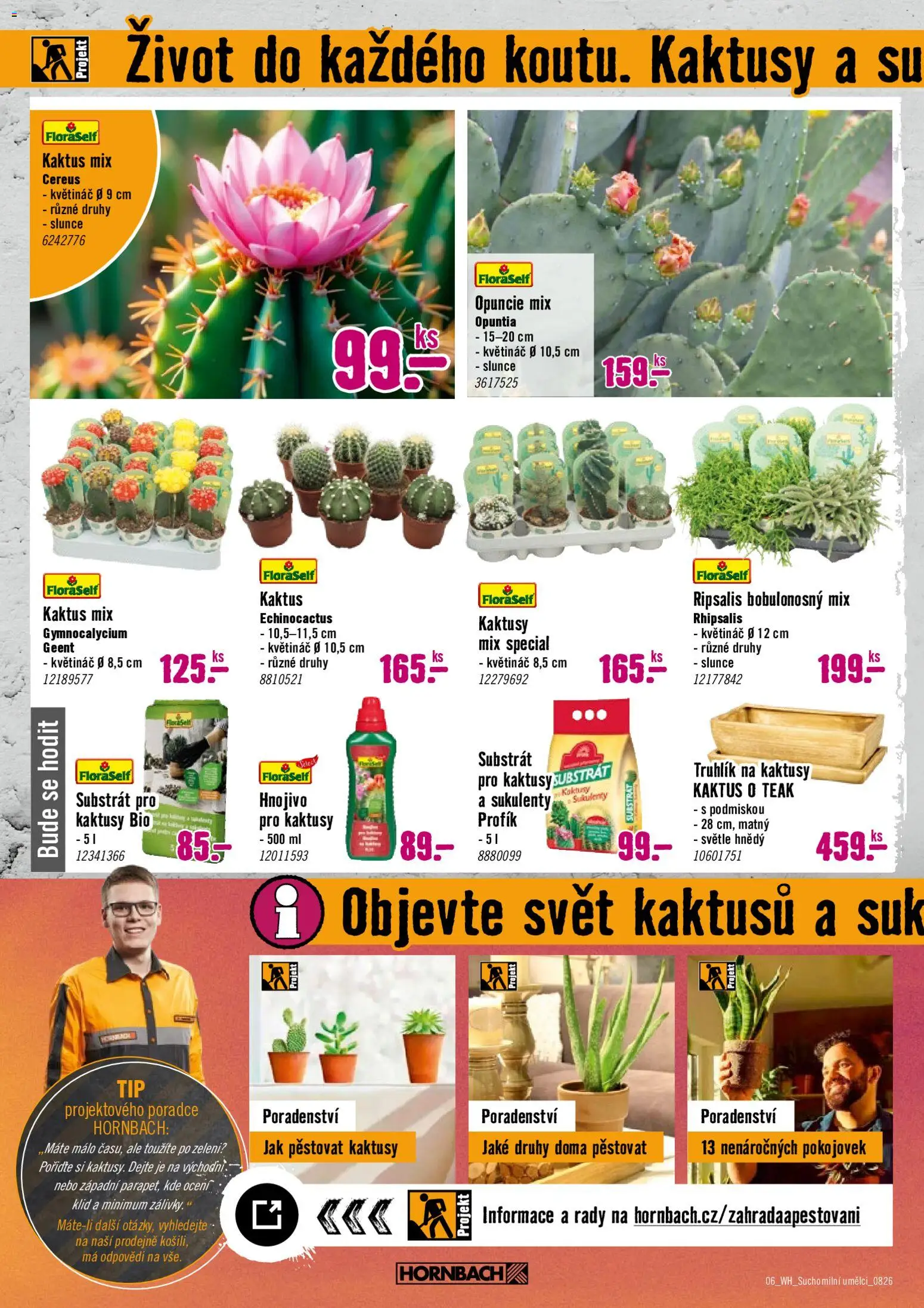 HORNBACH leták - Zelená střecha od 12.08.2026 | Strana: 6 | Produkty: Truhlík, Substrát, Hnojivo, Květináč