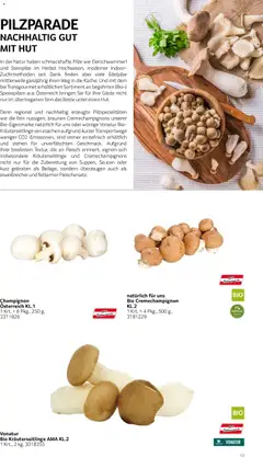 Transgourmet Natürlich Regional ab 05.07.2026 gültig | Seite: 13 | Produkte: Hut