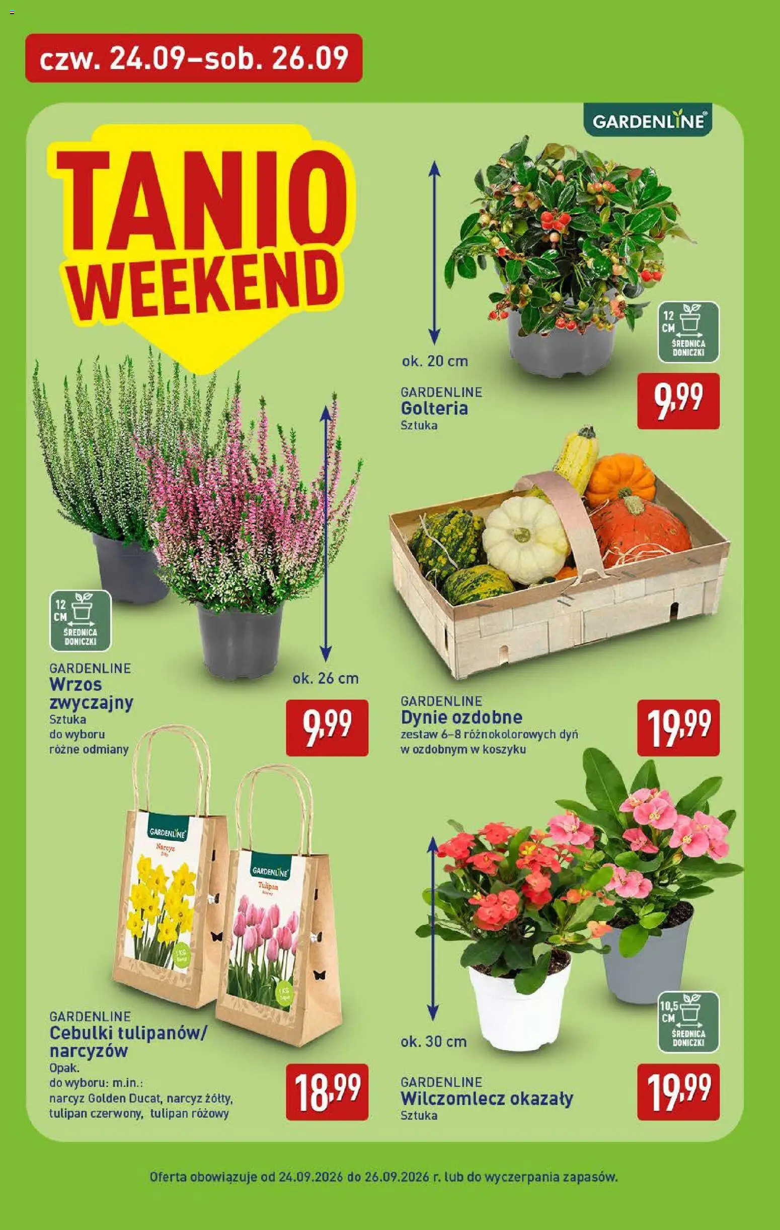 Aldi Polsko leták od 21.09.2026 | Strana: 38