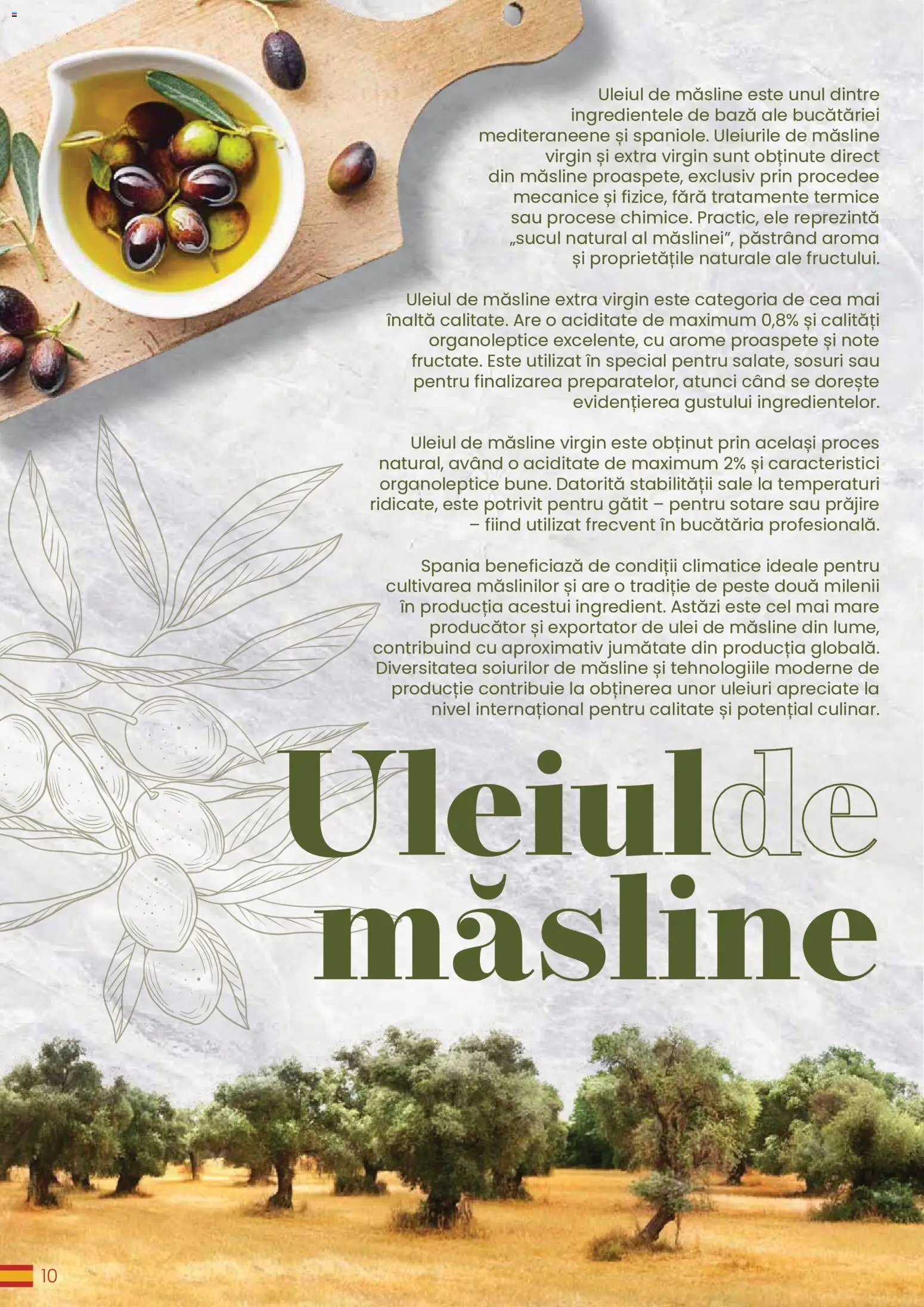 Noul catalog Metro – valabil de la 30.03.2026 | Pagină: 10 | Produse: Măsline, Ulei, Pește