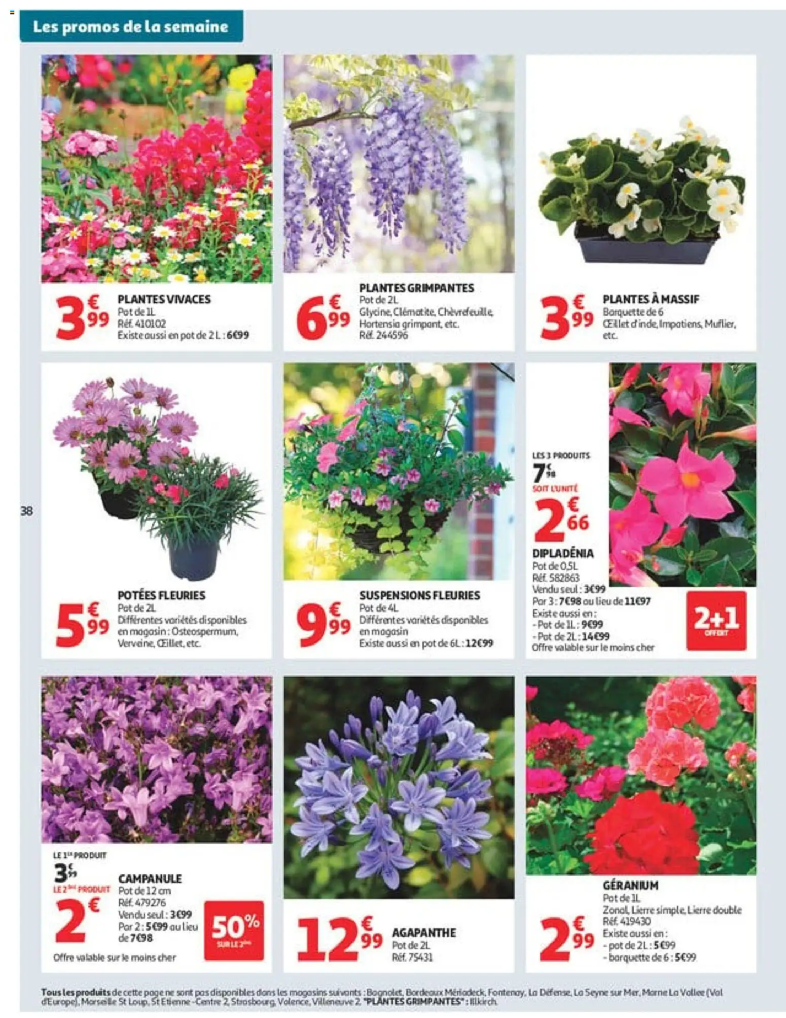 {H1} | Page: 38 | Produits: Hortensia, Plantes, Dipladénia, Géranium