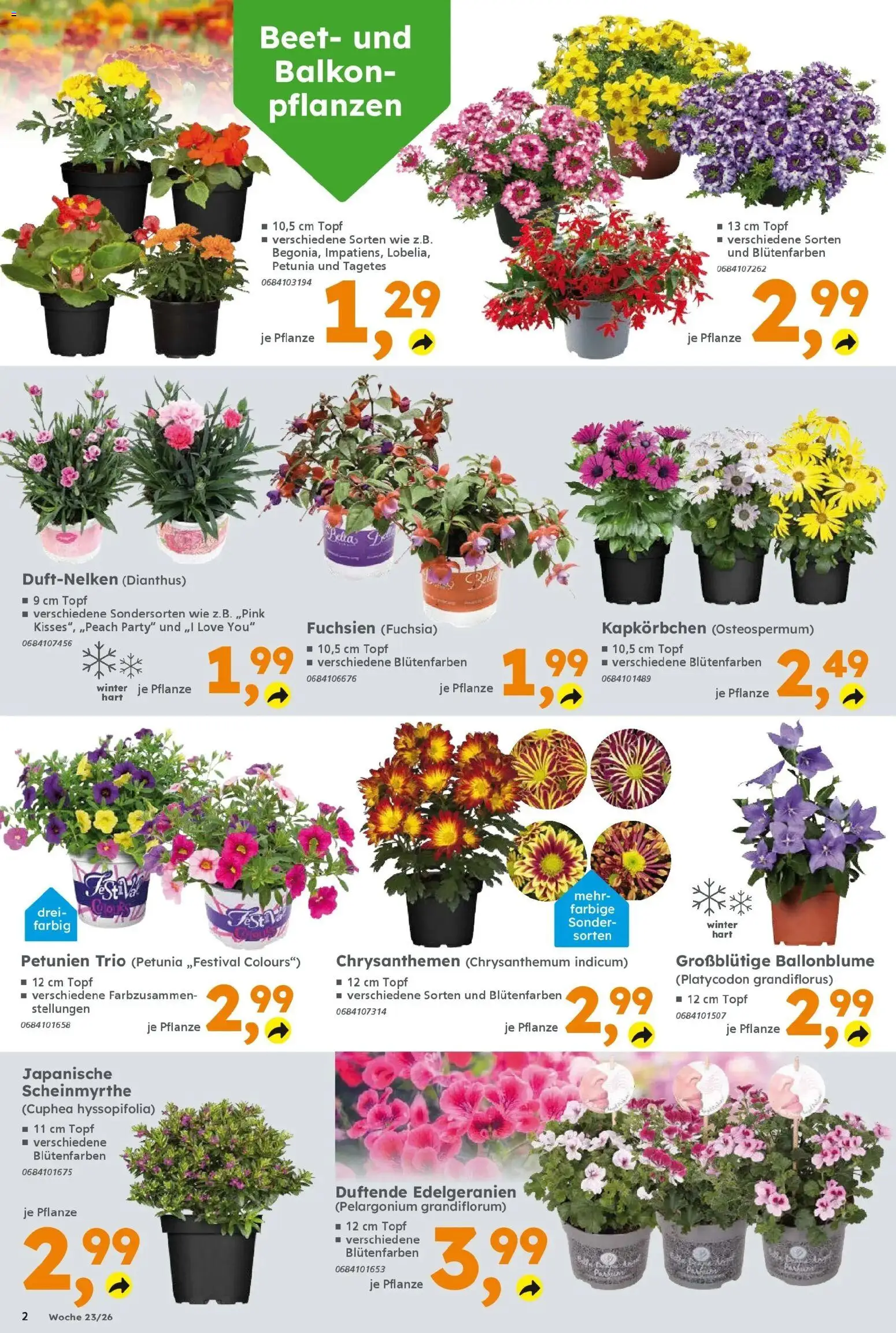 Globus Baumarkt Prospekt Dietzenbach – gültig ab 31.05.2026 | Seite: 2