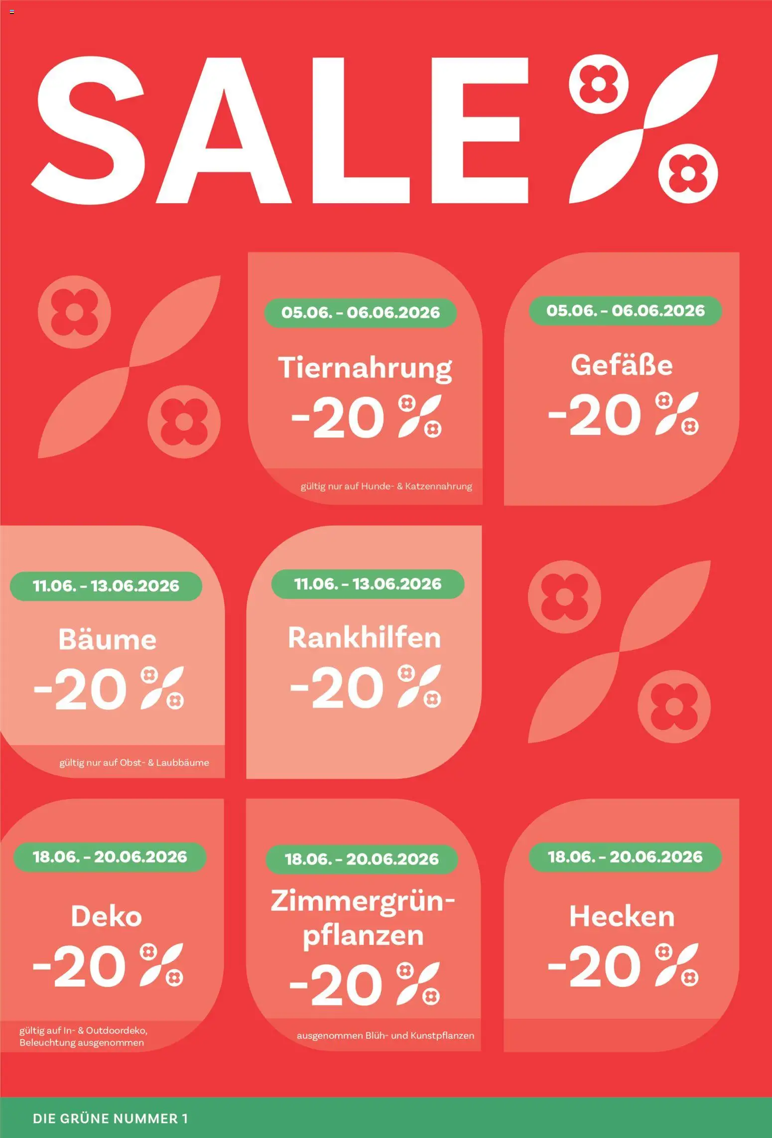 bellaflora Flugblatt gültig ab 05.06.2026 | Seite: 6 | Produkte: Obst