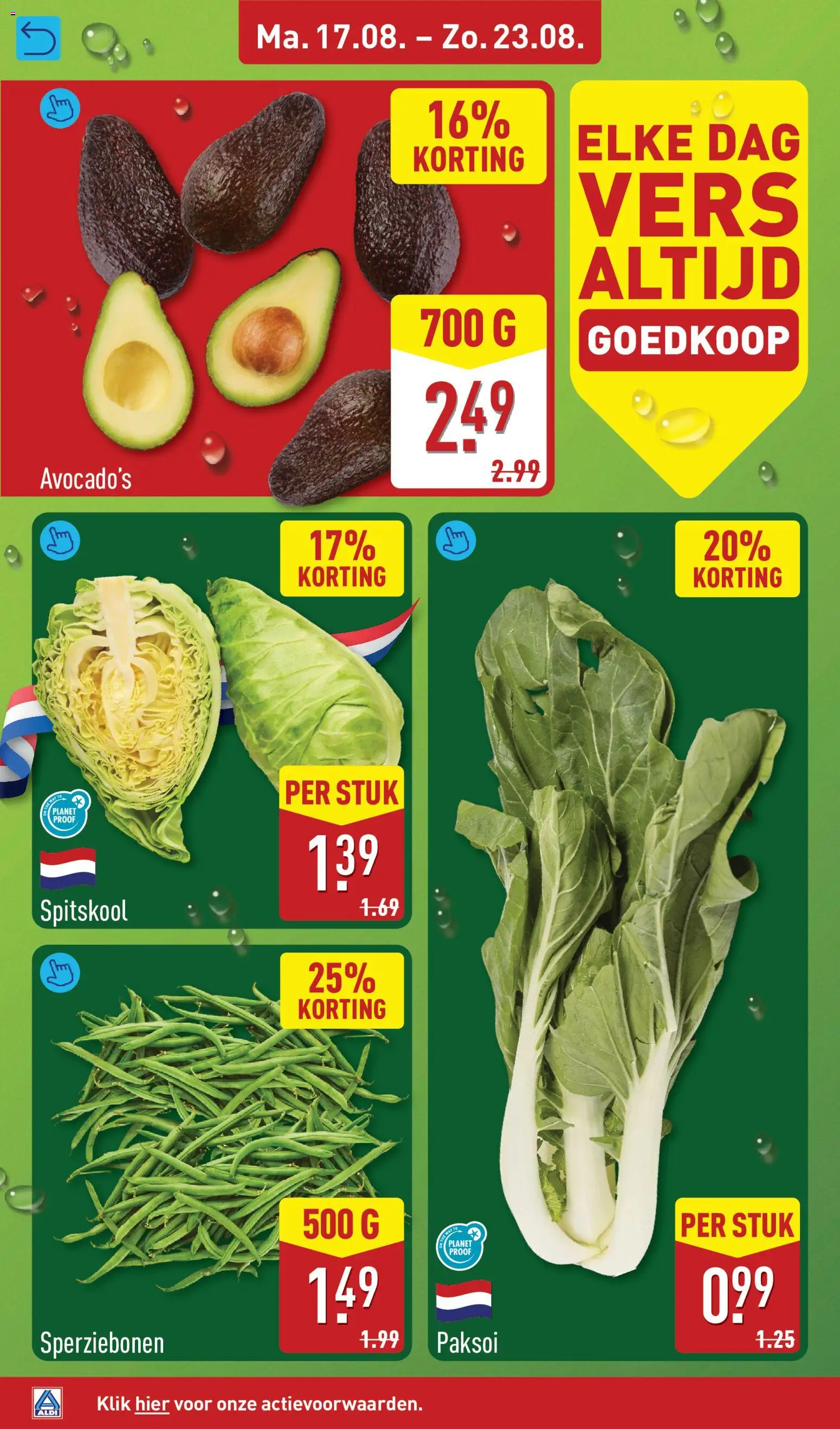 {H1} | Pagina: 6 | Producten: Avocado, Spitskool