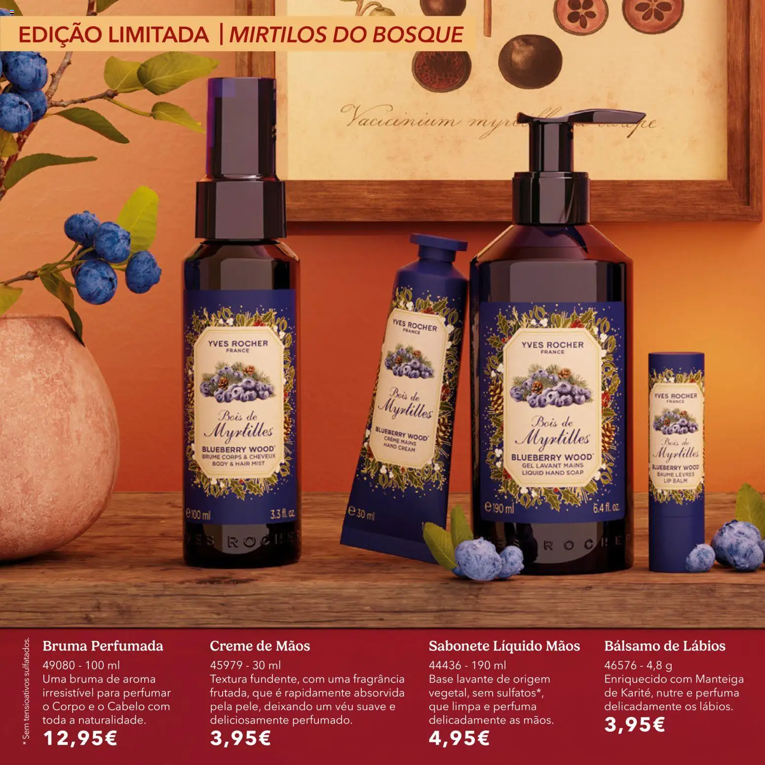 Yves Rocher Catálogo de natal │ válido de 21/10/2026 | Página: 14 | Produtos: Base, Sabonete, Creme, Mirtilos