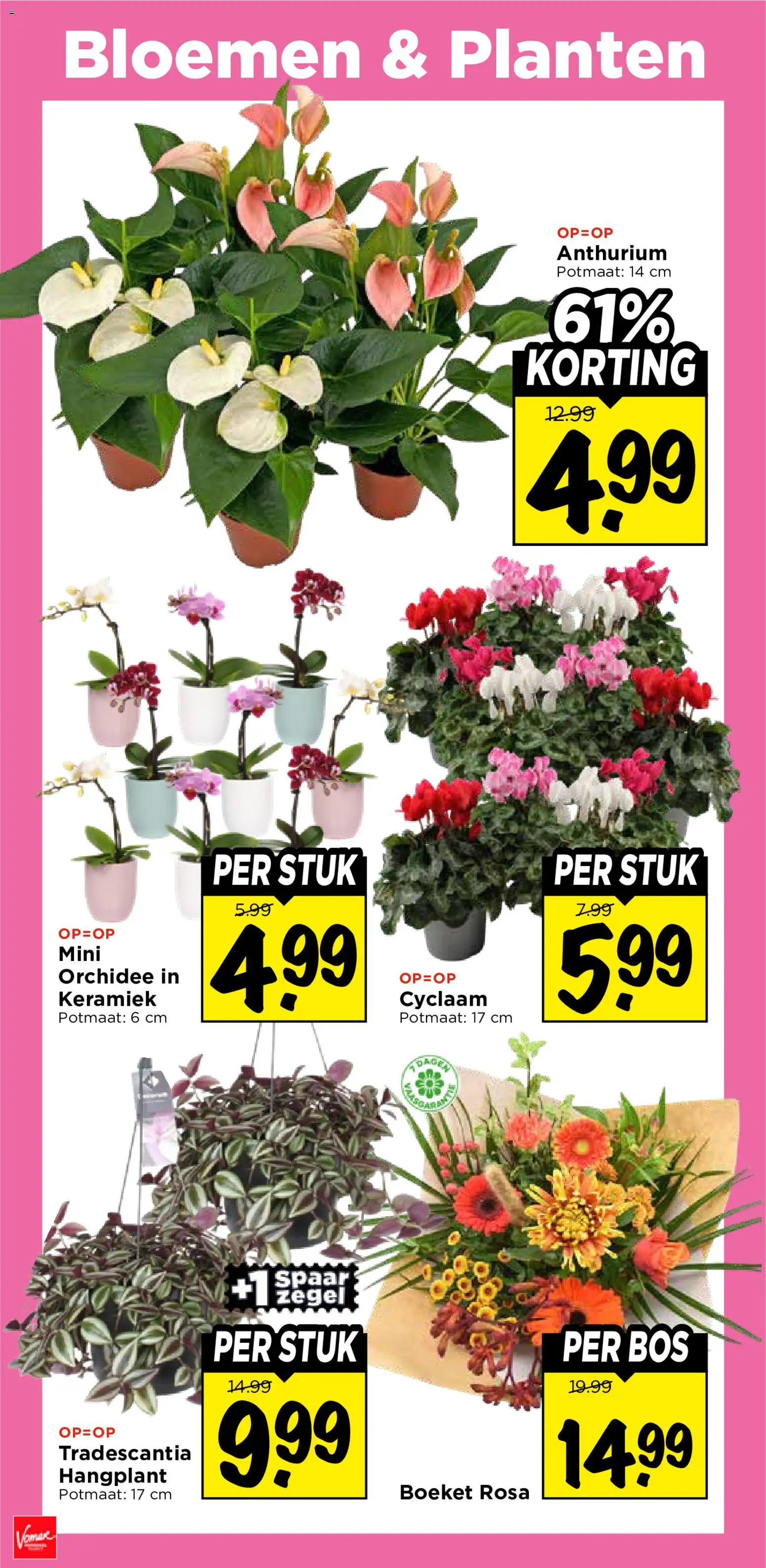 {H1} | Pagina: 41 | Producten: Bloemen, Orchidee, Keramiek