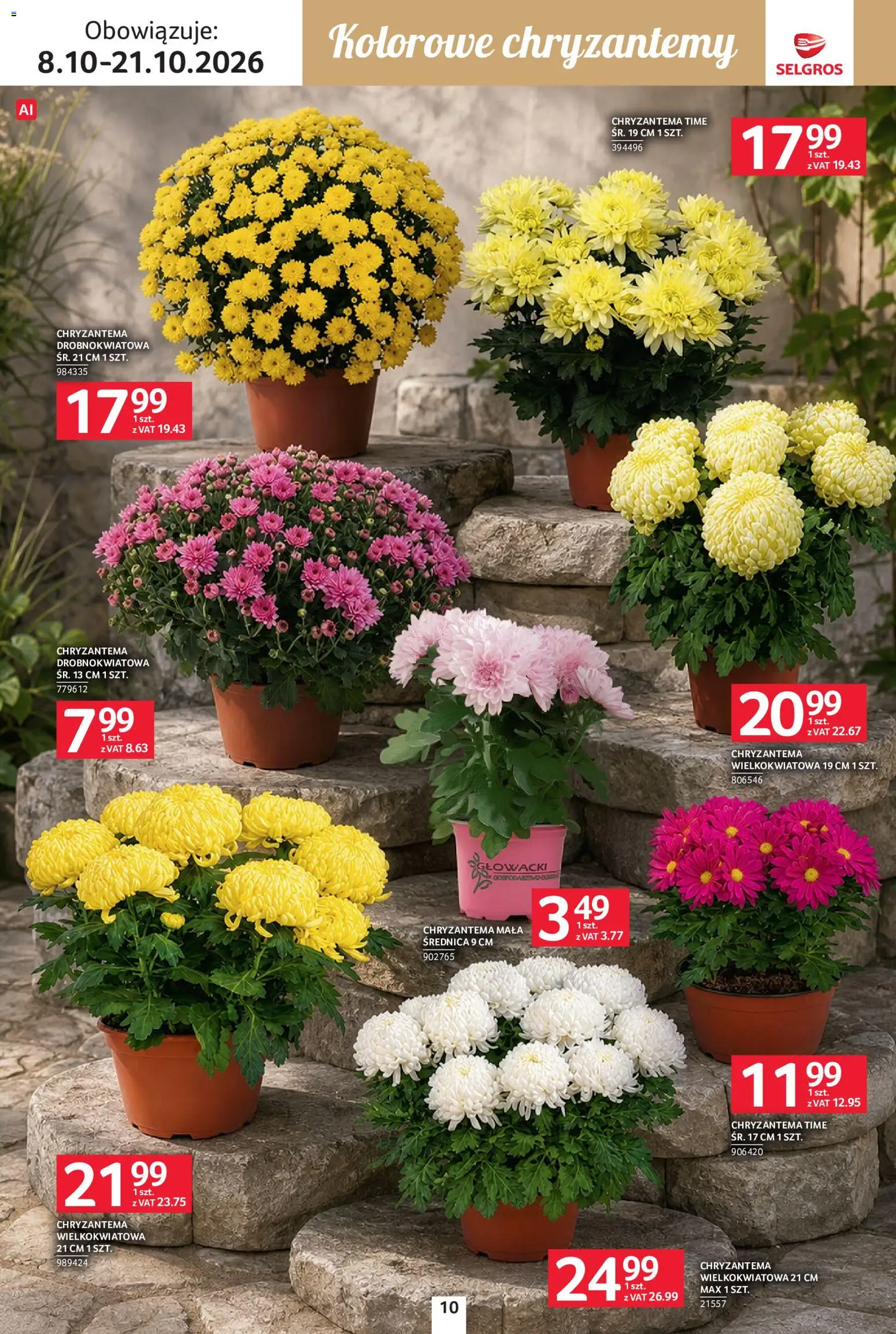 Selgros cash&carry gazetka - Wszystkich świętych od 08.10.2026 | Strona: 10 | Produkty: Chryzantemy
