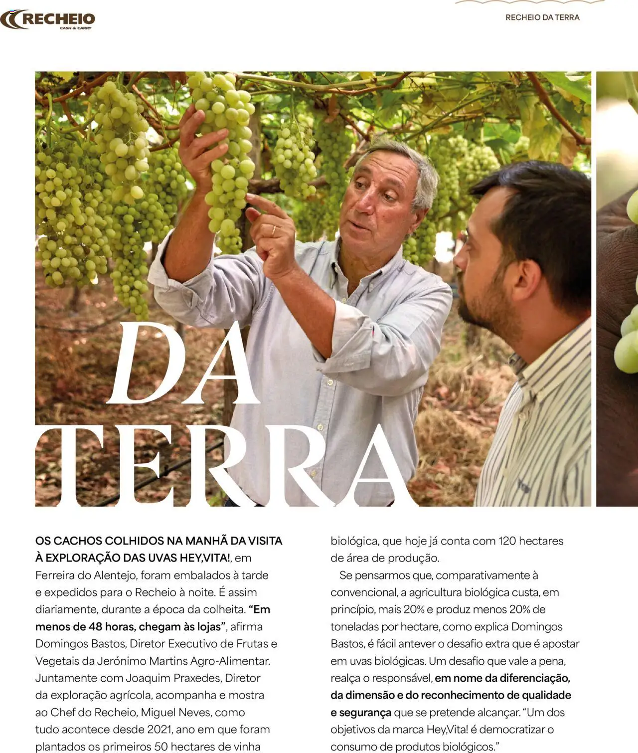 Recheio - Recheio da Terra │ válido de 25/09/2025 | Página: 8 | Produtos: Frutas, Uvas