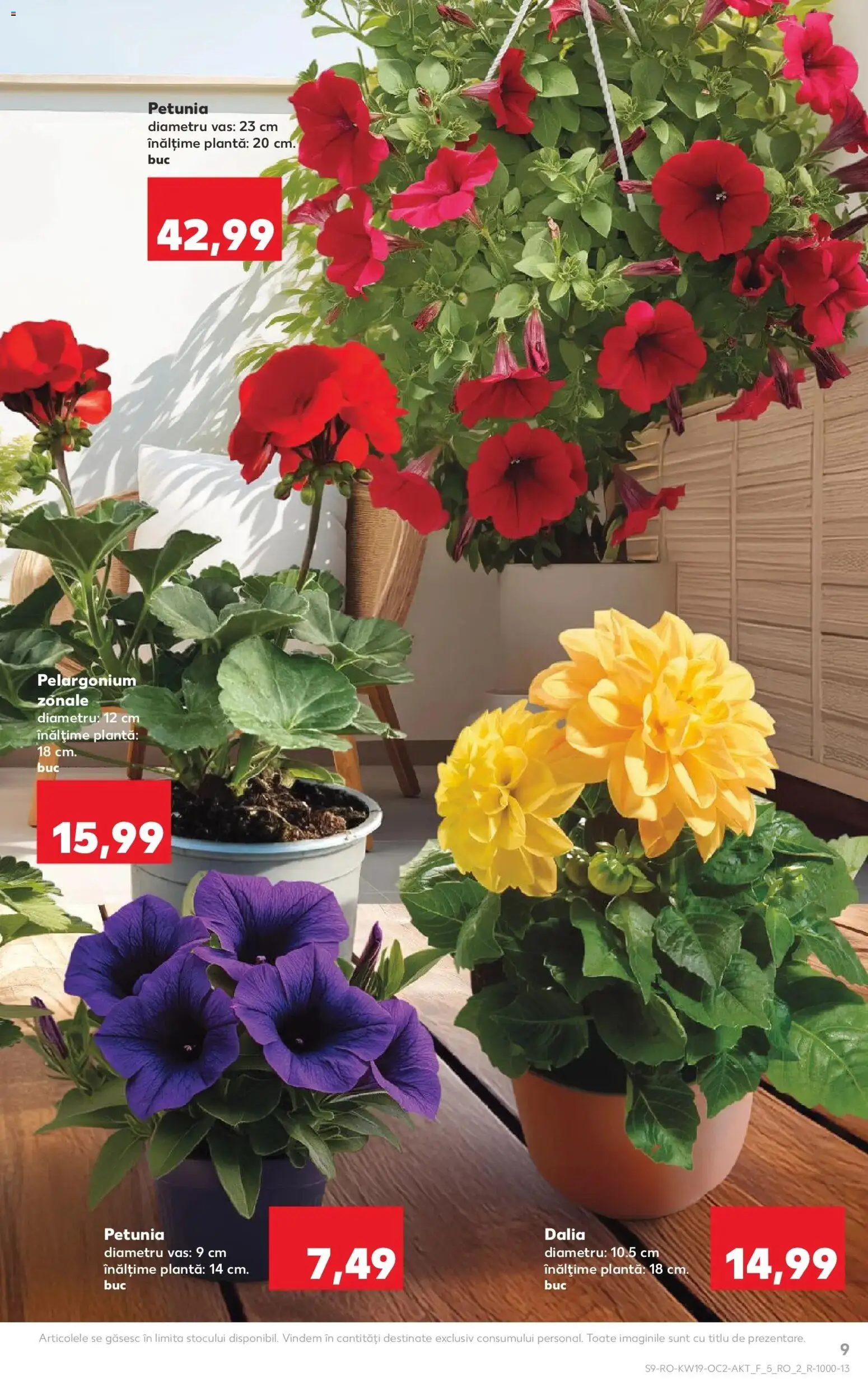 Noul catalog Kaufland – valabil de la 06.05.2026 | Pagină: 9