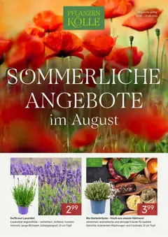 Pflanzen-Kölle Onlineflyer August ab 01.08.2026 gültig