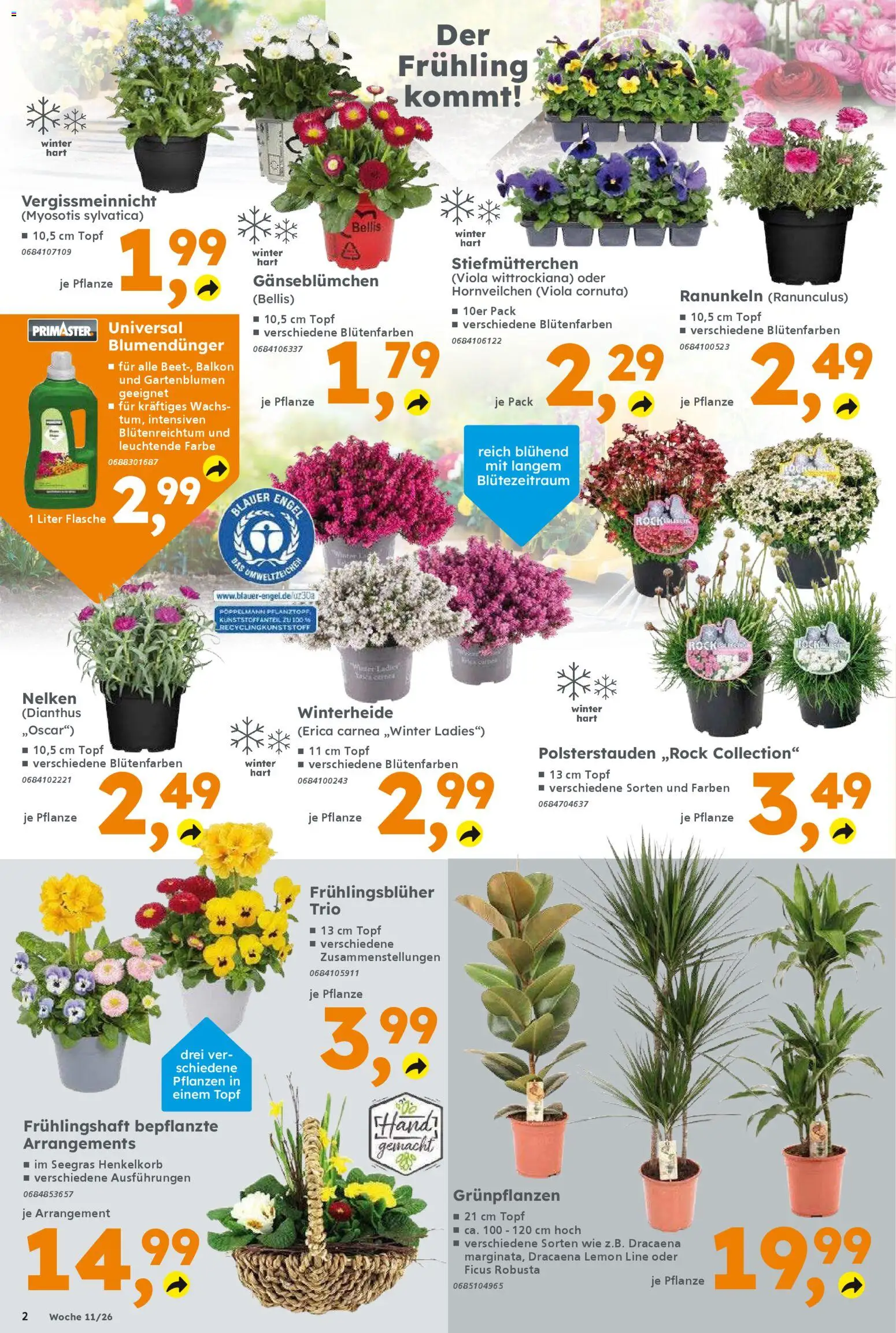Globus Baumarkt Prospekt 	 – gültig ab 09.03.2026 | Seite: 2 | Produkte: Stiefmutterchen