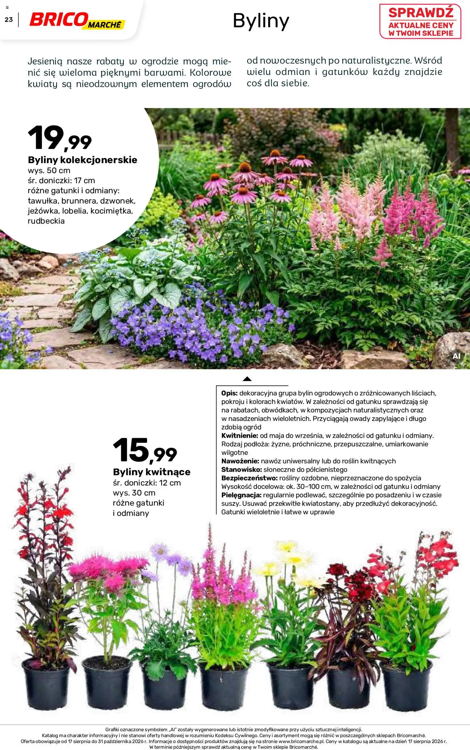 Brico Marché gazetka - Jesienne Inspiracje od 17.08.2026 | Strona: 23 | Produkty: Nawóz, Rosliny, Doniczki, Kwiaty