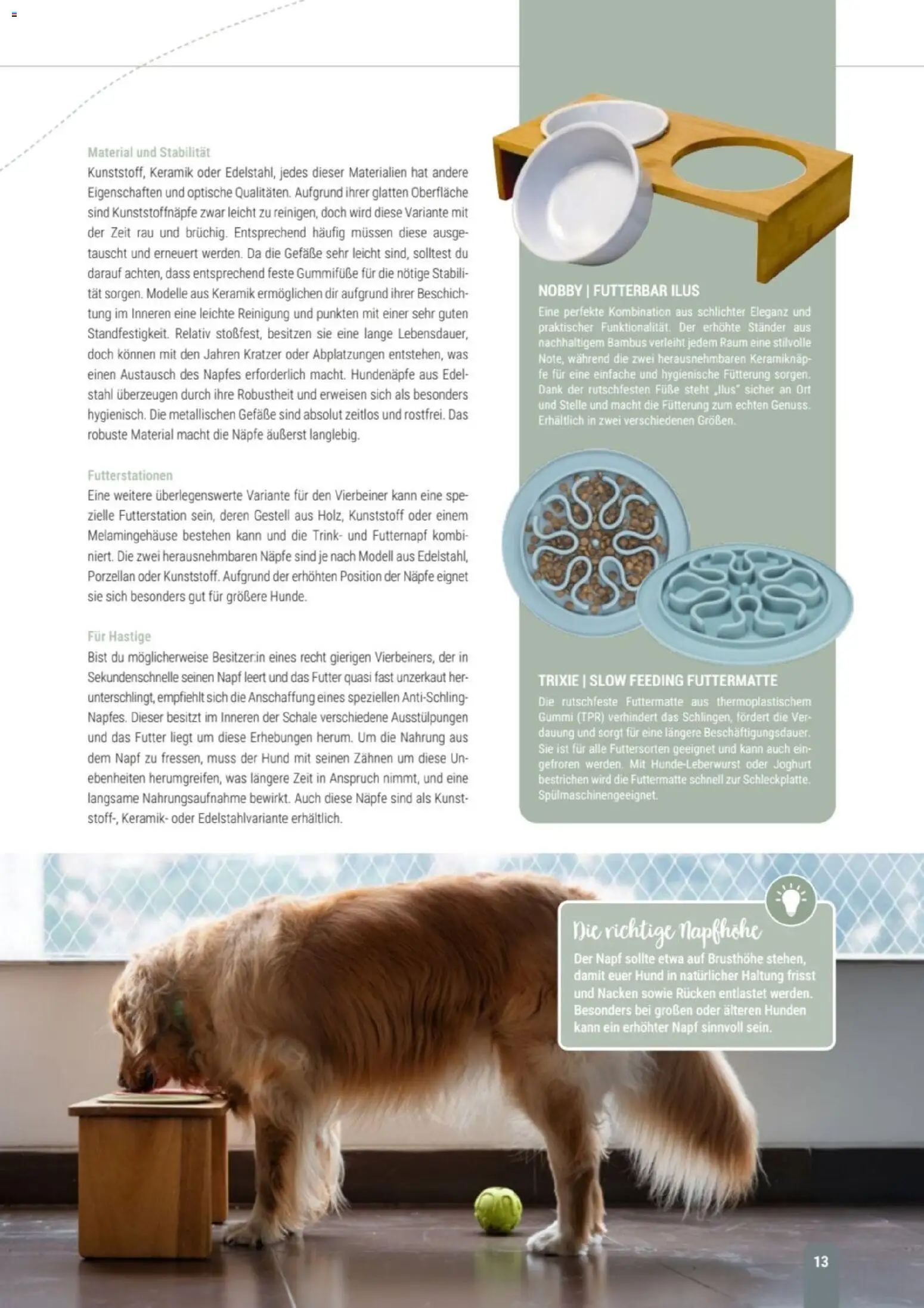 zookauf Themenkatalog Hund – gültig ab 18.05.2026 | Seite: 13 | Produkte: Joghurt
