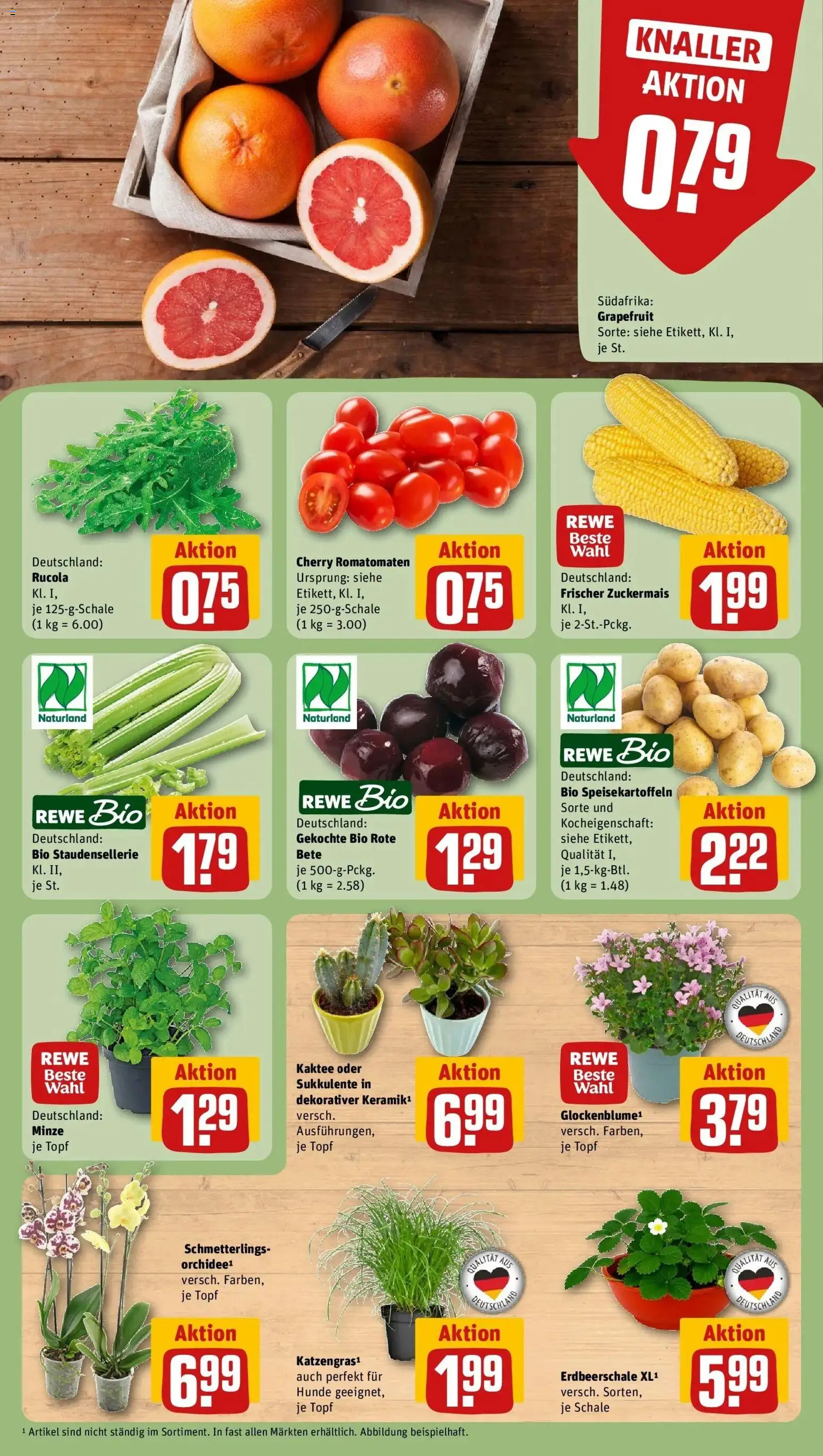 Rewe Prospekt Lübeck – gültig ab 27.07.2026 | Seite: 5 | Produkte: Rucola, Grapefruit
