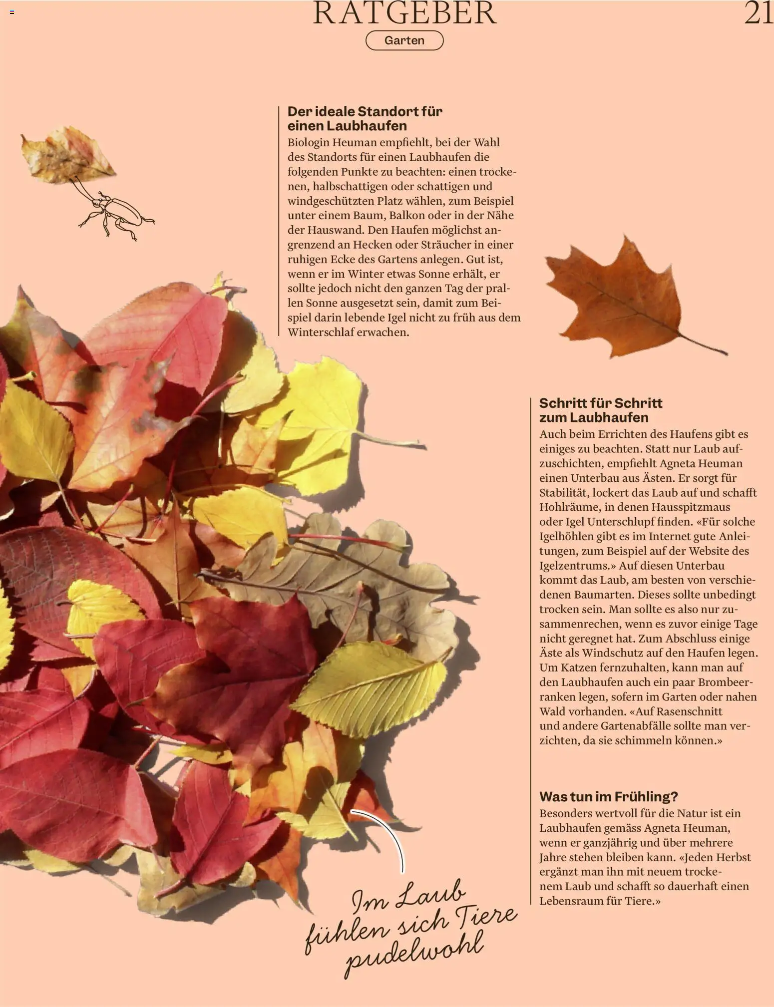Migros aktionen Magazin – gültig ab 07.10.2026 | Seite: 21 | Produkte: Spiel