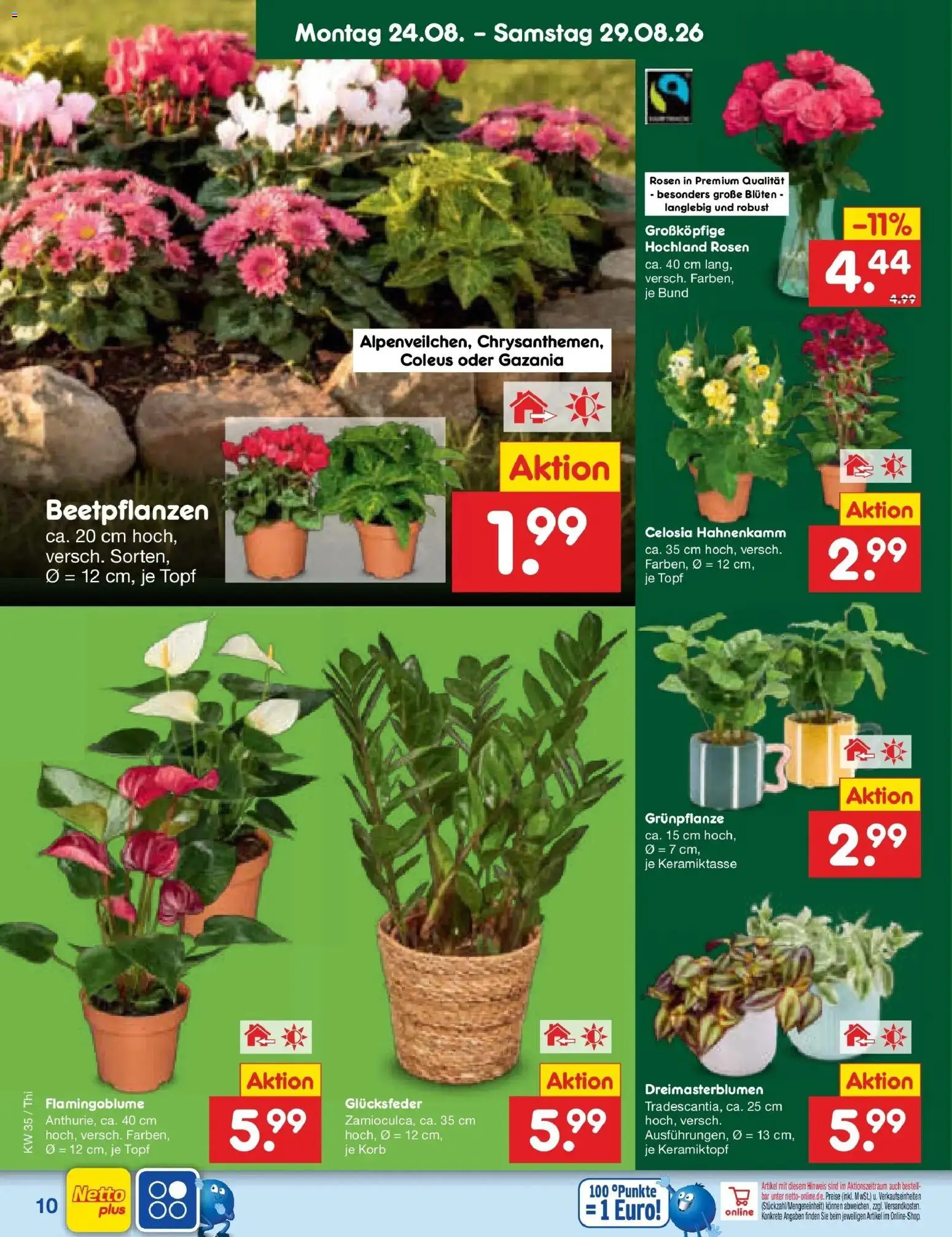 Netto Marken-Discount Prospekt Thiendorf – gültig ab 24.08.2026 | Seite: 14 | Produkte: Korb