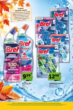 Pogląd oferty "Groszek gazetka - Sprawdź, co więcej" - ważna od 17.09.2026 | Strona: 19 | Produkty: Żel do WC