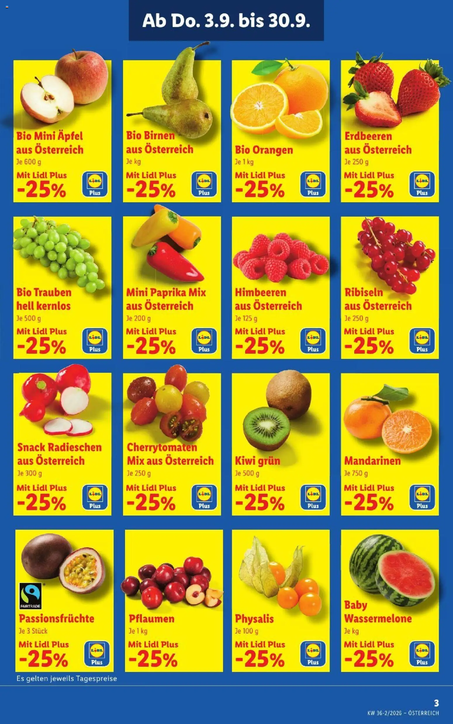 Lidl - Flugblatt gültig ab 03.09.2026 | Seite: 3