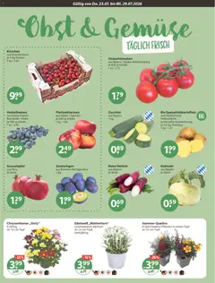 V-Markt Angebote ab 23.07.2026 gültig | Seite: 4
