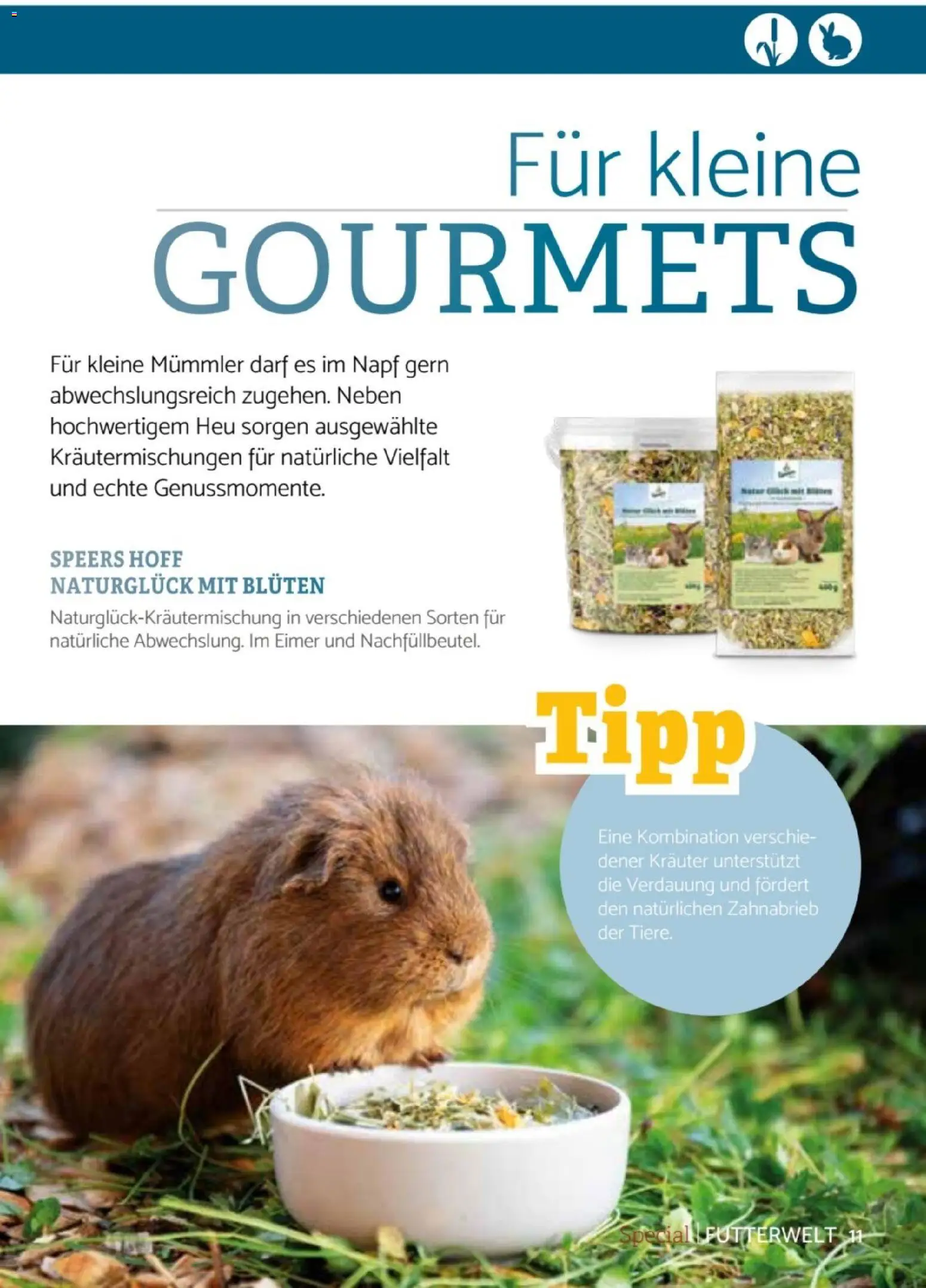 zookauf Heimtier Journal Special – gültig ab 01.06.2026 | Seite: 11