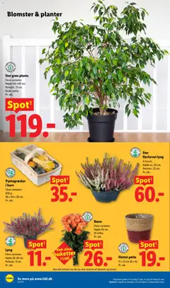 Lidl - Tilbudsavis gyldig fra 13/09/2026 | Side: 7 | Produkter: Chips, Salt, Søm, Paprika