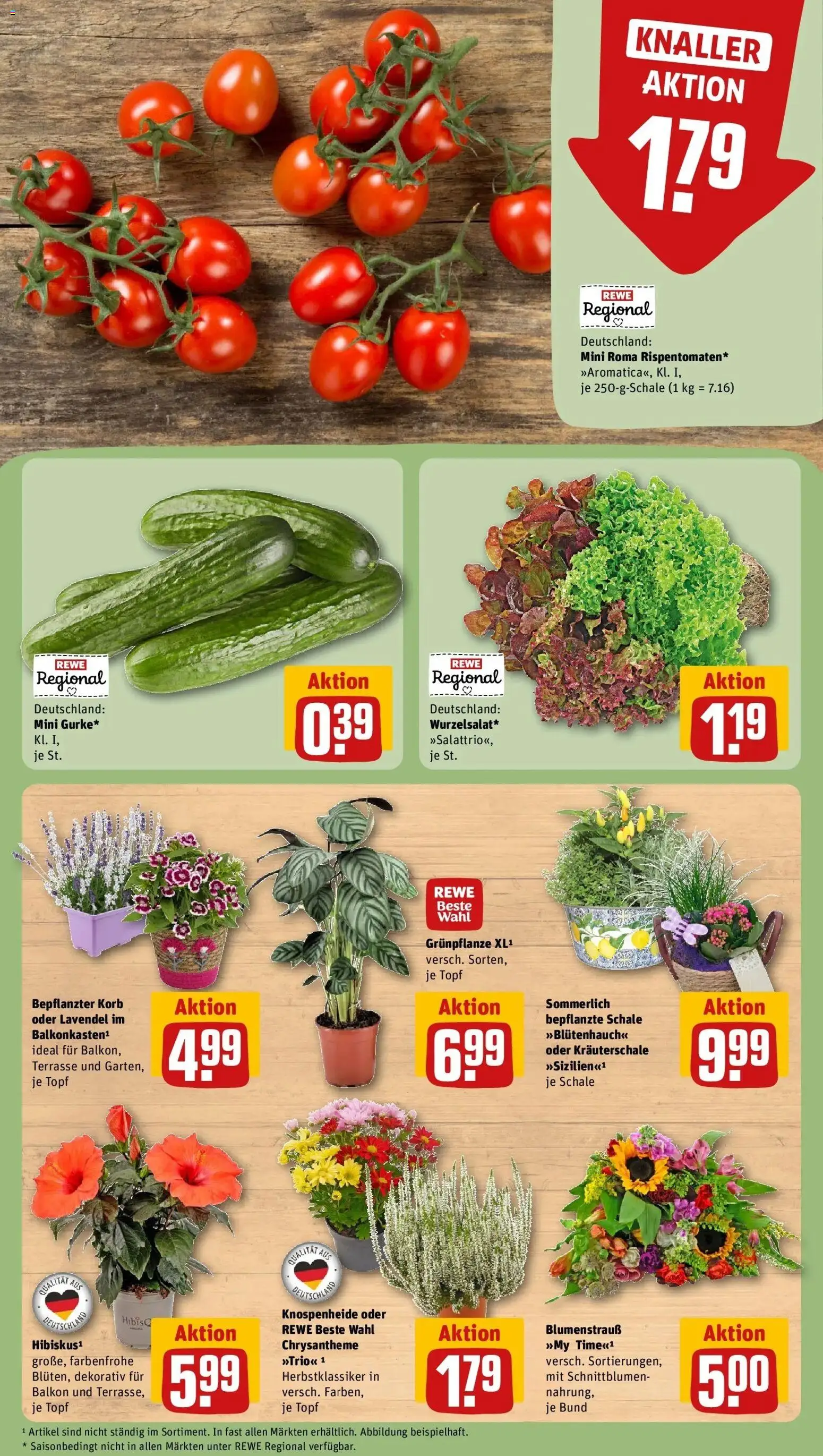 REWE Prospekt ab 17.08.2026 zum Blättern » Angebote | Seite: 9 | Produkte: Korb, Lavendel