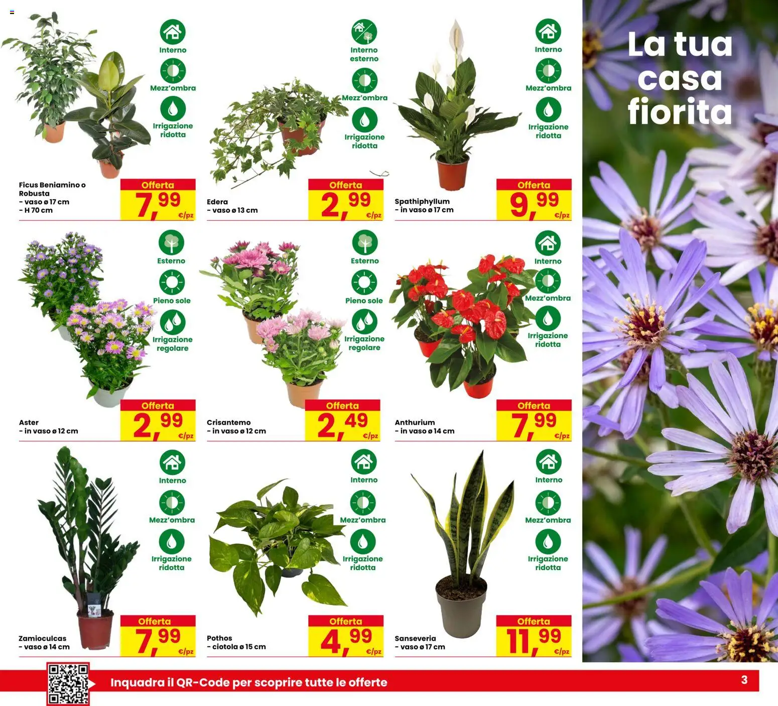 Volantino Eurospar del 03/09/2026 | Pagina: 3 | Prodotti: Ciotola, Vaso