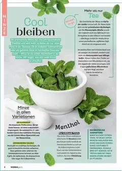 Norma NORMAgazin Mai/Juni 2026 ab 01.05.2026 gültig | Seite: 4 | Produkte: Öl, Kraut, Salat