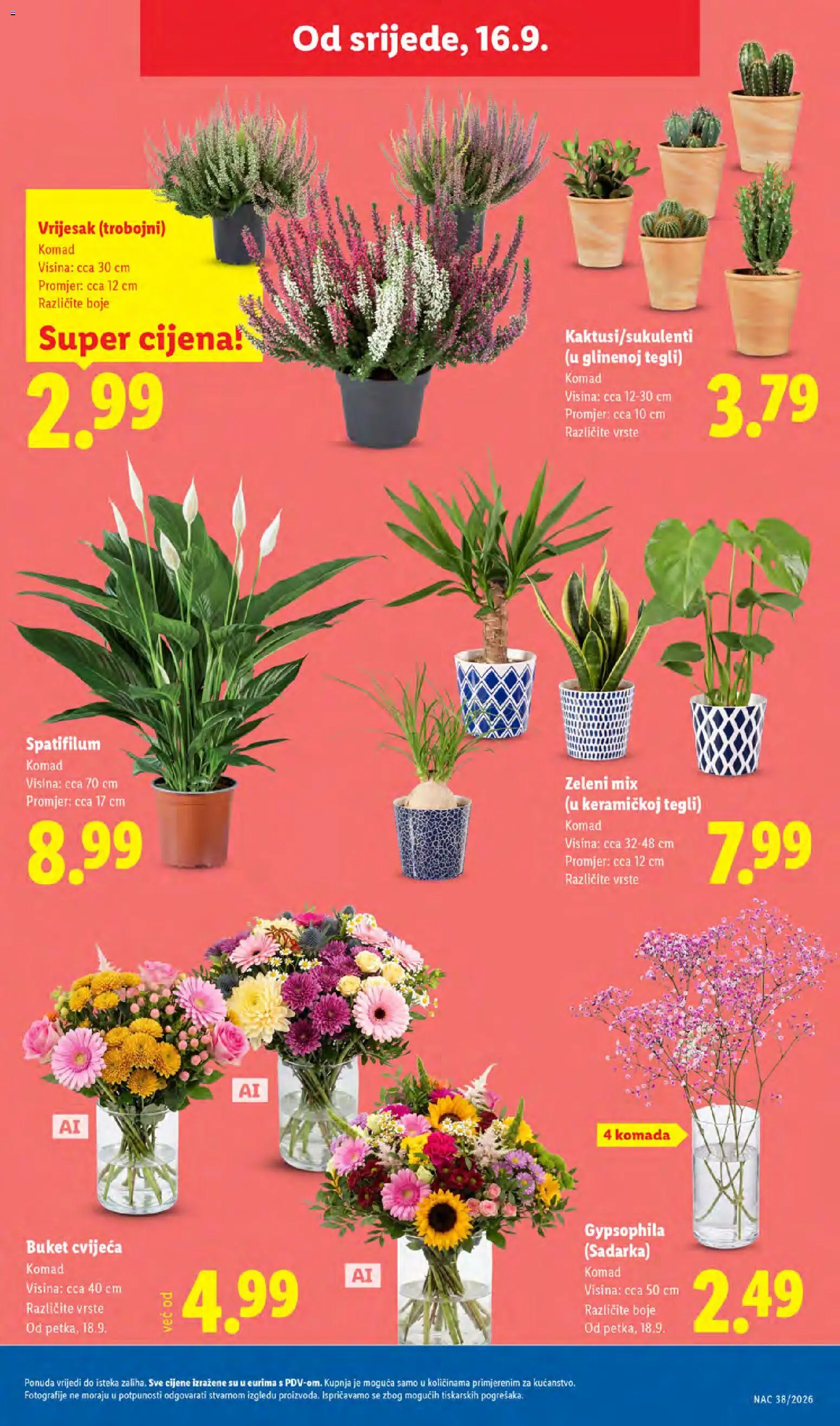Lidl katalog | vrijedi od 14.09.2026 | Stranica: 53