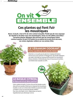 Mr. Bricolage - Prévisualisation de Mr. Bricolage Dans votre magasin valide à partir de 03/07/2026 | Page: 82 | Produits: Citron, Table, Table à manger, Géranium