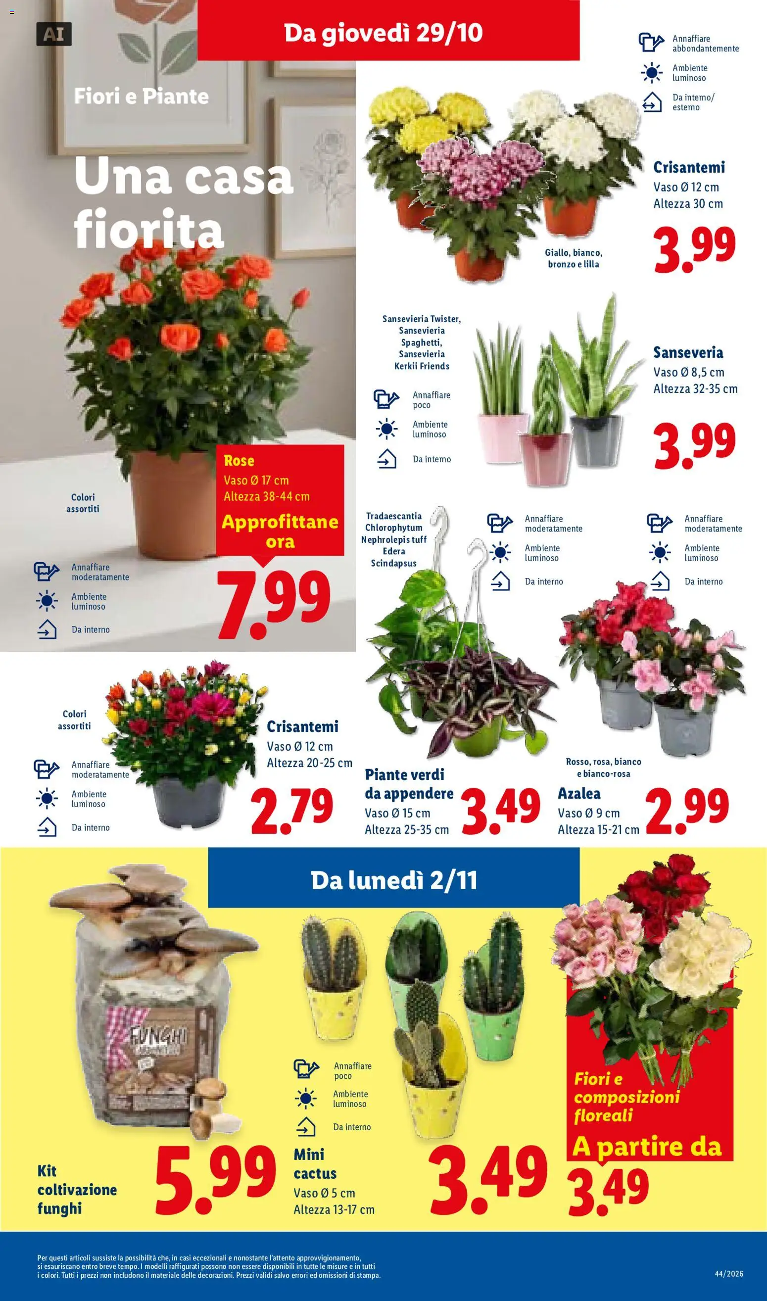 Volantino Lidl del 29/10/2026 | Pagina: 39