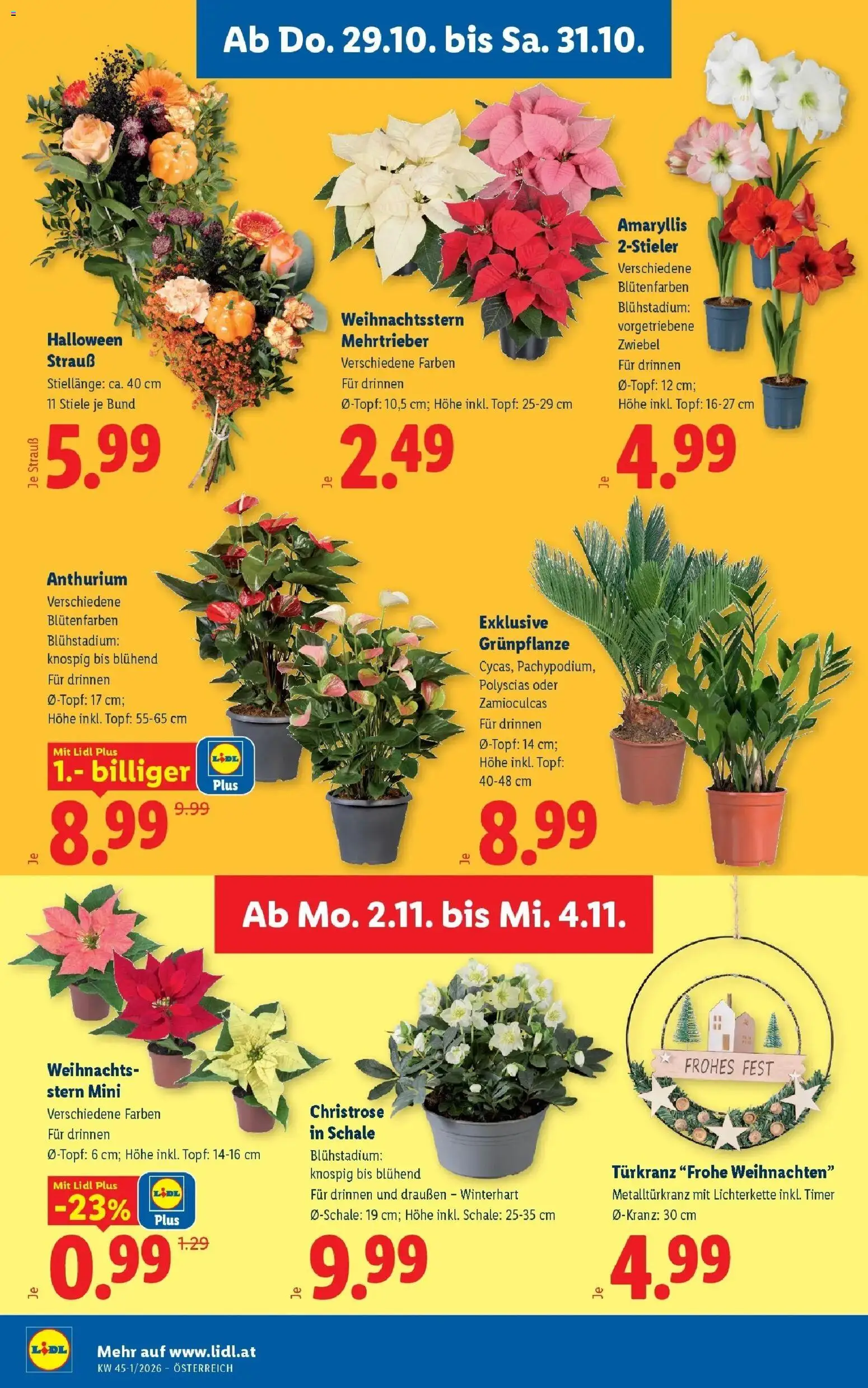 Lidl Flugblatt - Wien ab 25.10.2026 - Angebote ab donnerstag | Seite: 28