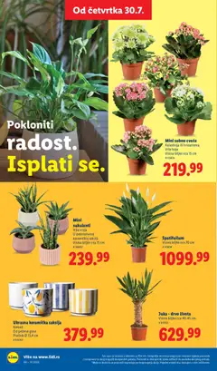 Lidl katalog - pregled Lidl kataloga - važi od 30.07.2026 | Strana: 70