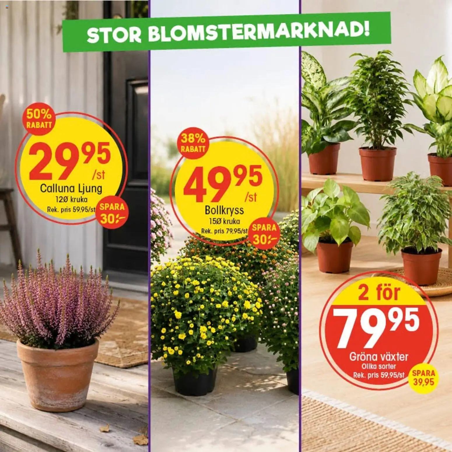 EKO reklamblad aktuell från 31/08/2026 | Sida: 1 | Produkter: Ljung, Kruka