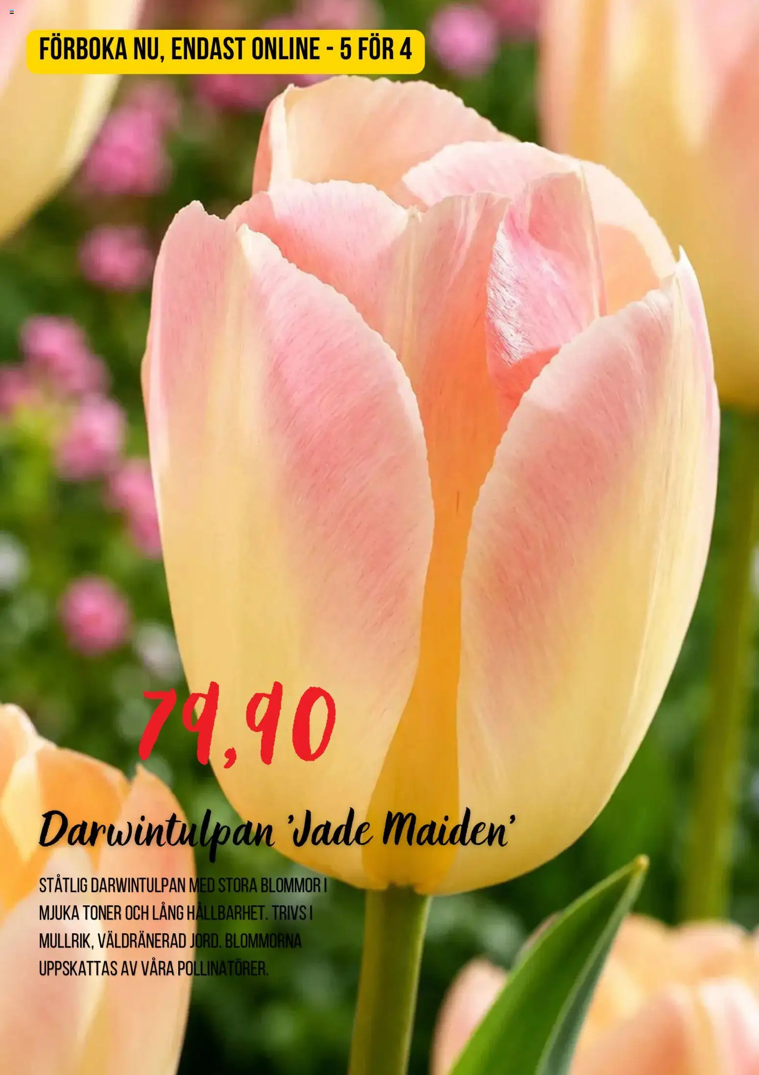 Blomsterlandet reklamblad aktuell från 13/08/2026 | Sida: 5 | Produkter: Blommor