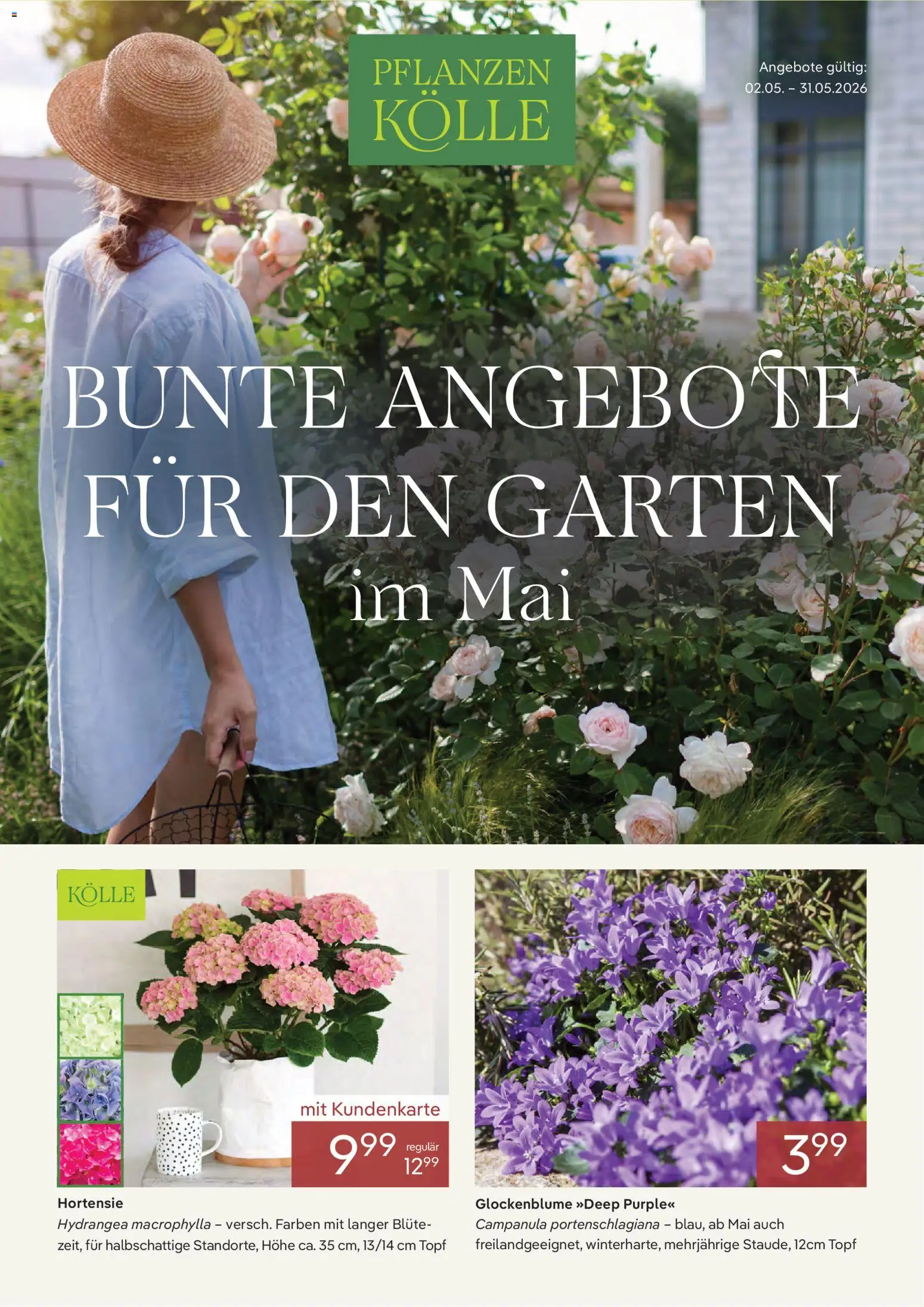 Pflanzen-Kölle Onlineflyer Mai – gültig ab 02.05.2026 | Seite: 1 | Produkte: Hortensie